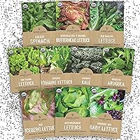 Organic Lettuce & Greens Seeds Variety Pack - 10 Non-GMO Packs: Buttercrunch, Arugula, Romaine, Kale & More - 2026 Fresh for Indoor/Outdoor Gardens