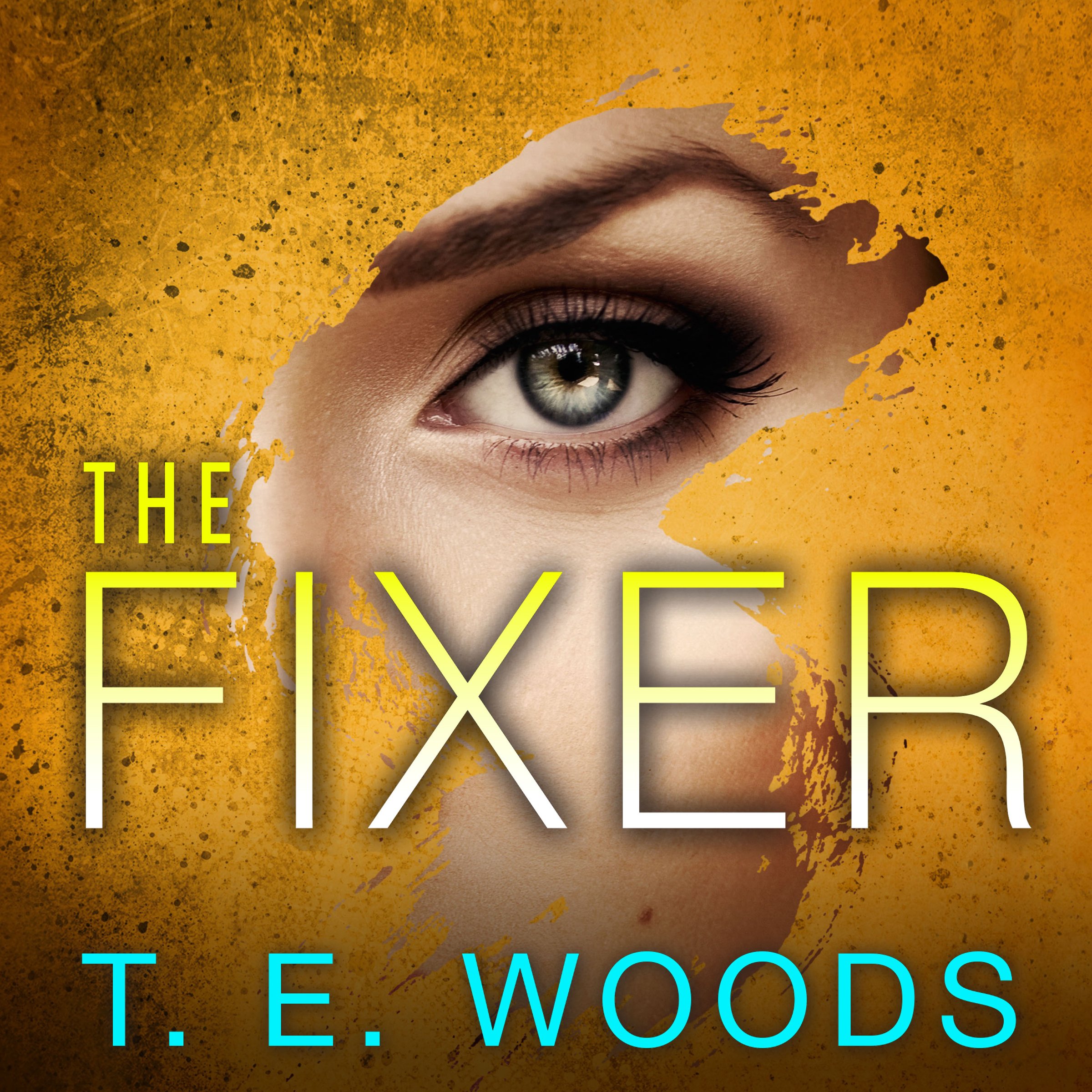 Cover art for The Fixer