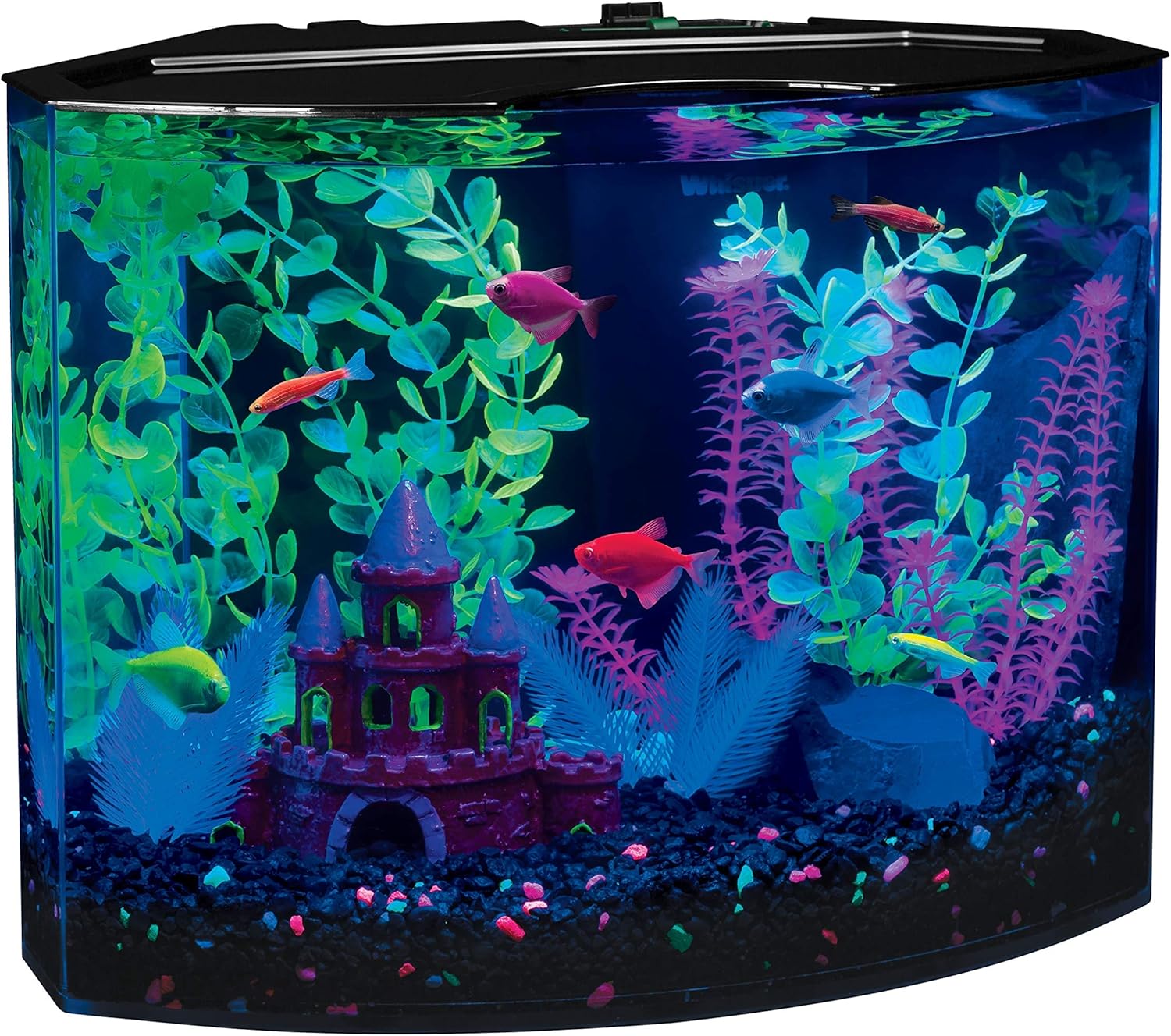 glofish decor