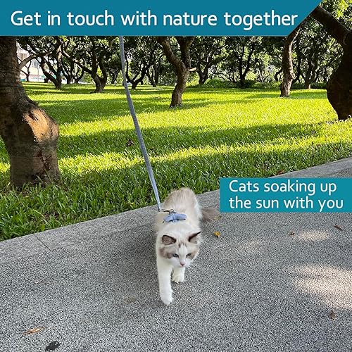 Miniatura 2 de Juego de arnés y correa para gatos para caminar al aire libre, arnés para gatos a prueba de escape, Ddzmz a prueba de escape, malla suave,