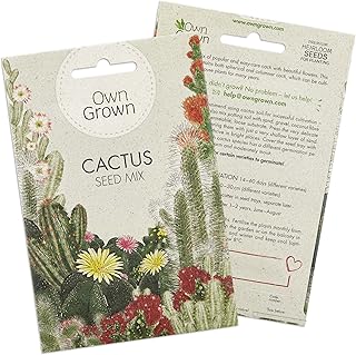 Cactus Seeds Mix: Colourful Premium Succulent Seeds Mix to Grow your own Succulent Plants – Cactus Plants for Indoors for Growing – Cacti and Succulent Potting Mix, Cacti Seeds for Succulents OwnGrown