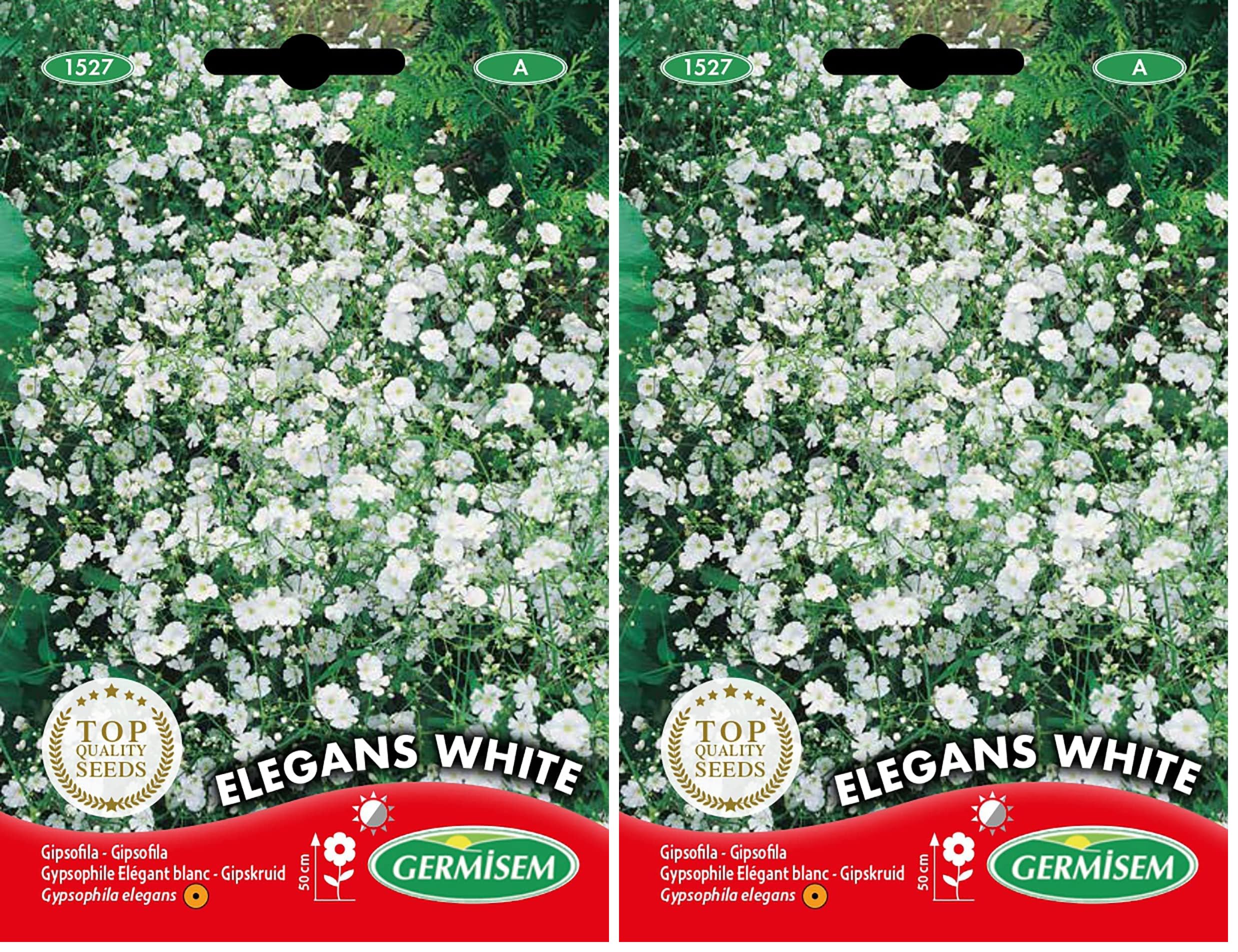 Germisem Elegans White Semi di Gypsophila 1.5 g (Confezione da 2)
