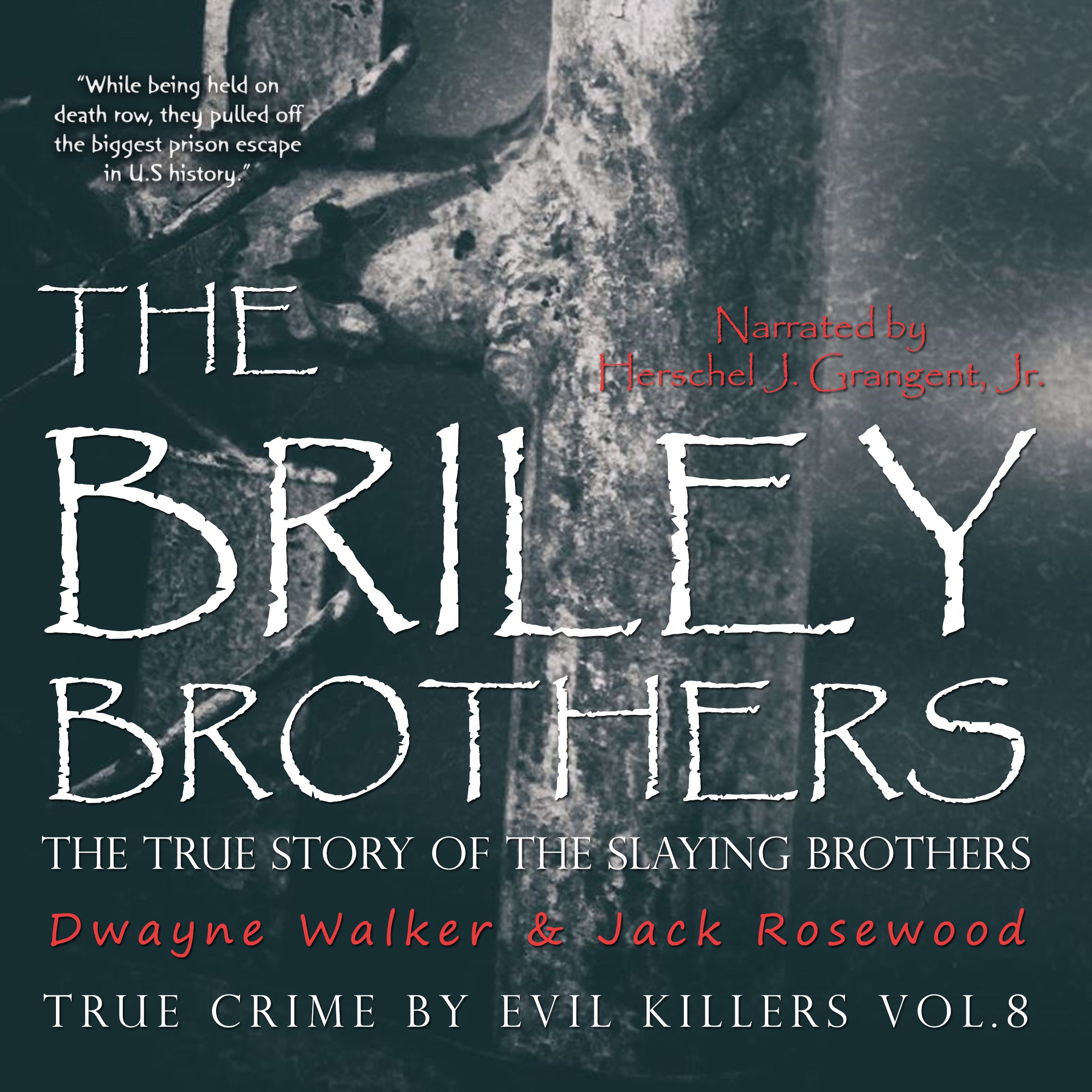 Cover art for The Briley Brothers: The True Story of the Slaying Brothers