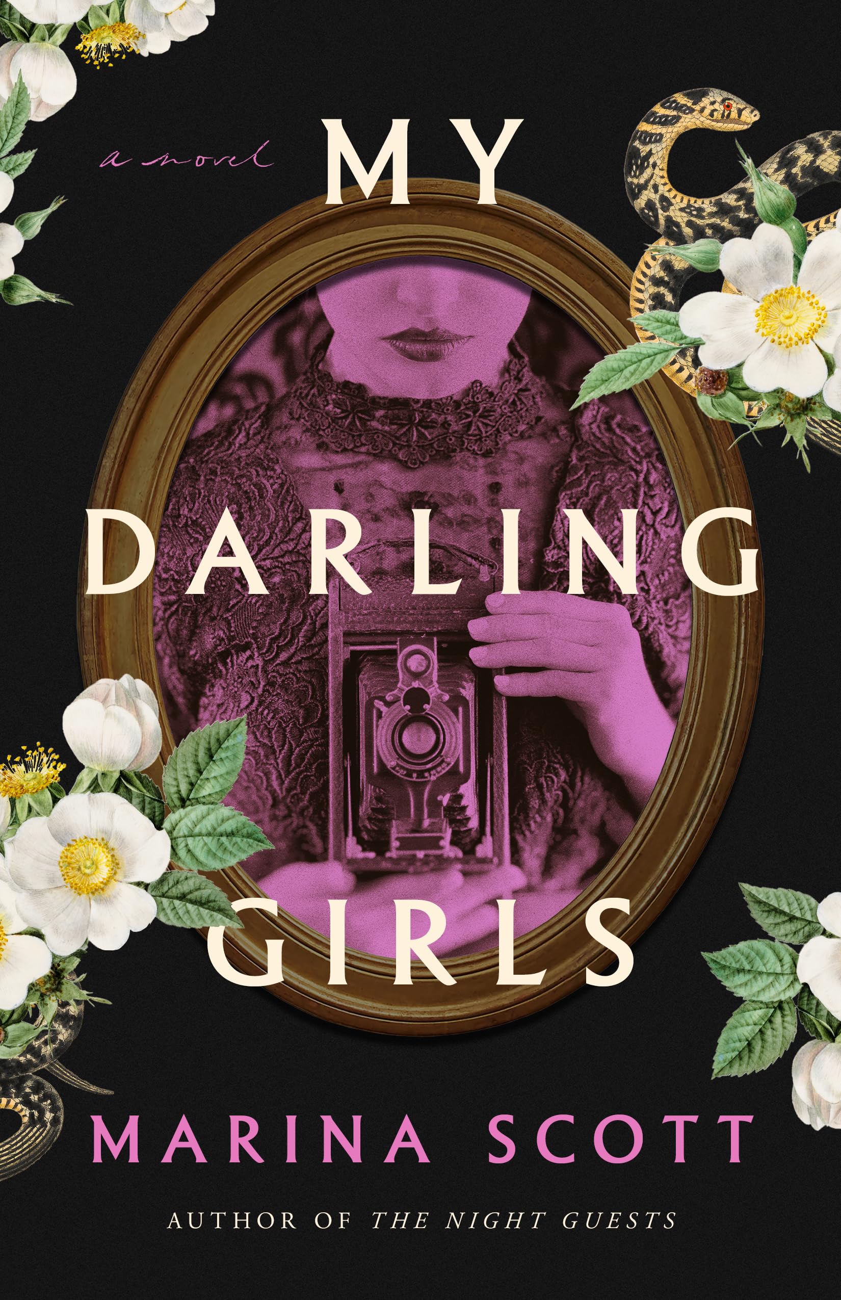 My Darling Girls: A Novel