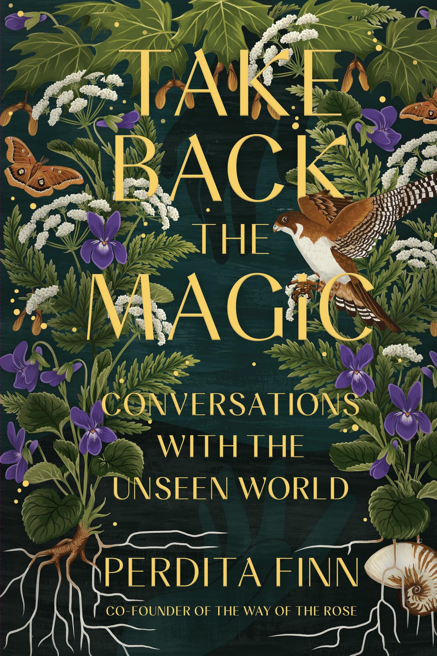 Take Back the Magic : Conversations with the Unseen World