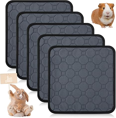 guinea pig absorbent bedding