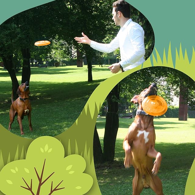 Foto 3 de 6 de rootsnoot Frisbee para perros, suave y superestable, flotante, especialmente dental, suave, sin sustancias…