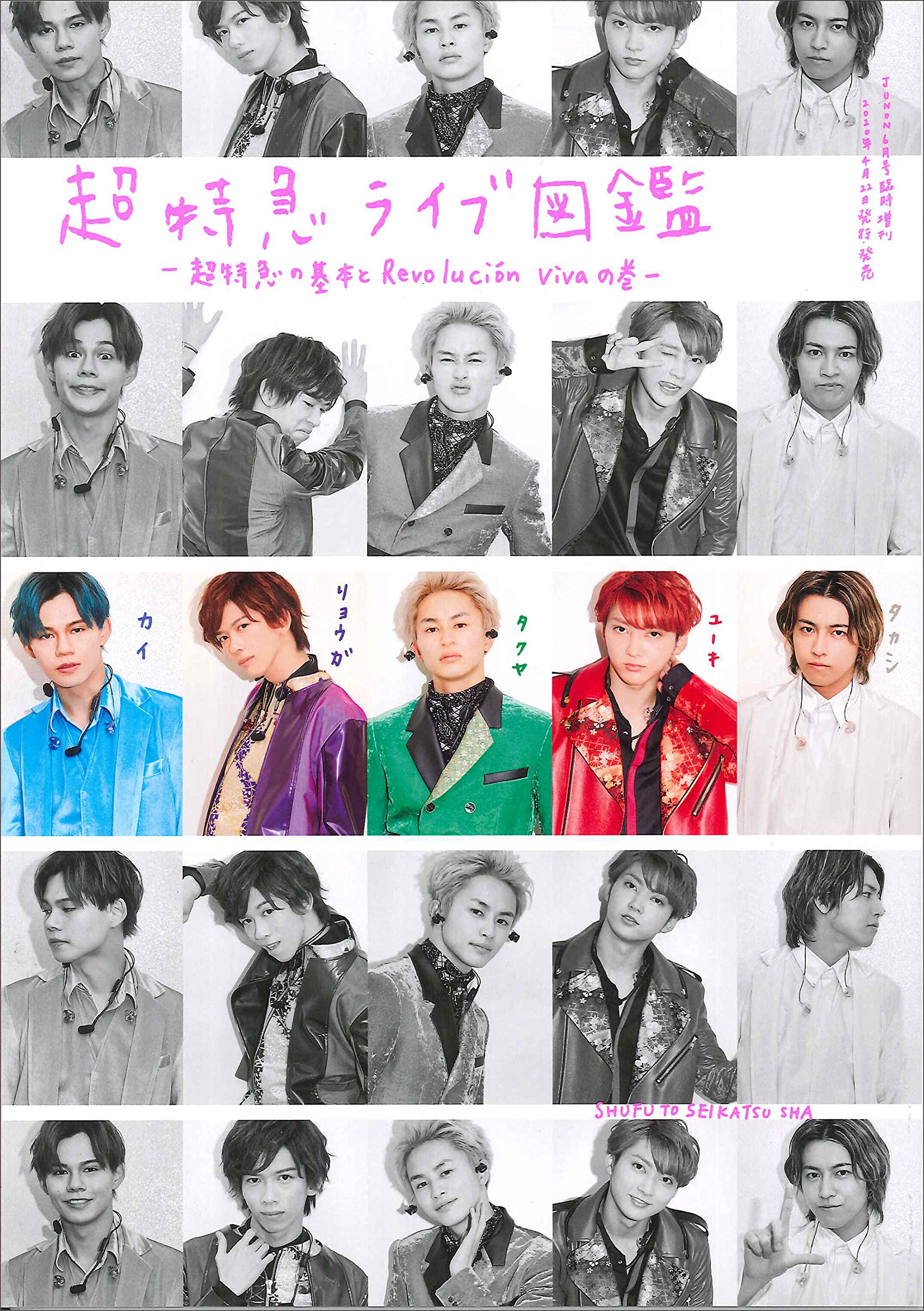 超特急ライブ図鑑〜超特急の基本とRevolucion vivaの巻〜 (JUNON（ジュノン）臨時増刊)