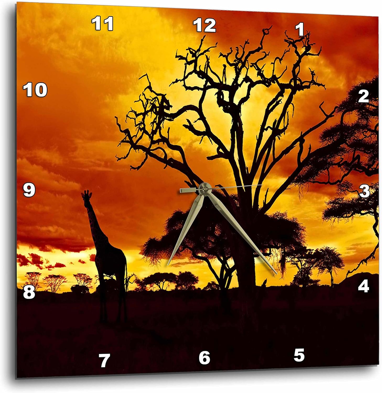 3dRose DPP_173293_3 African Giraffe on African Plains at Sunset, Animal Safari Africa Wall Clock, 15 by 15"