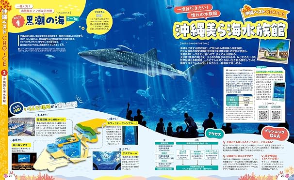るるぶ 沖縄ベスト '27 るるぶ情報版
