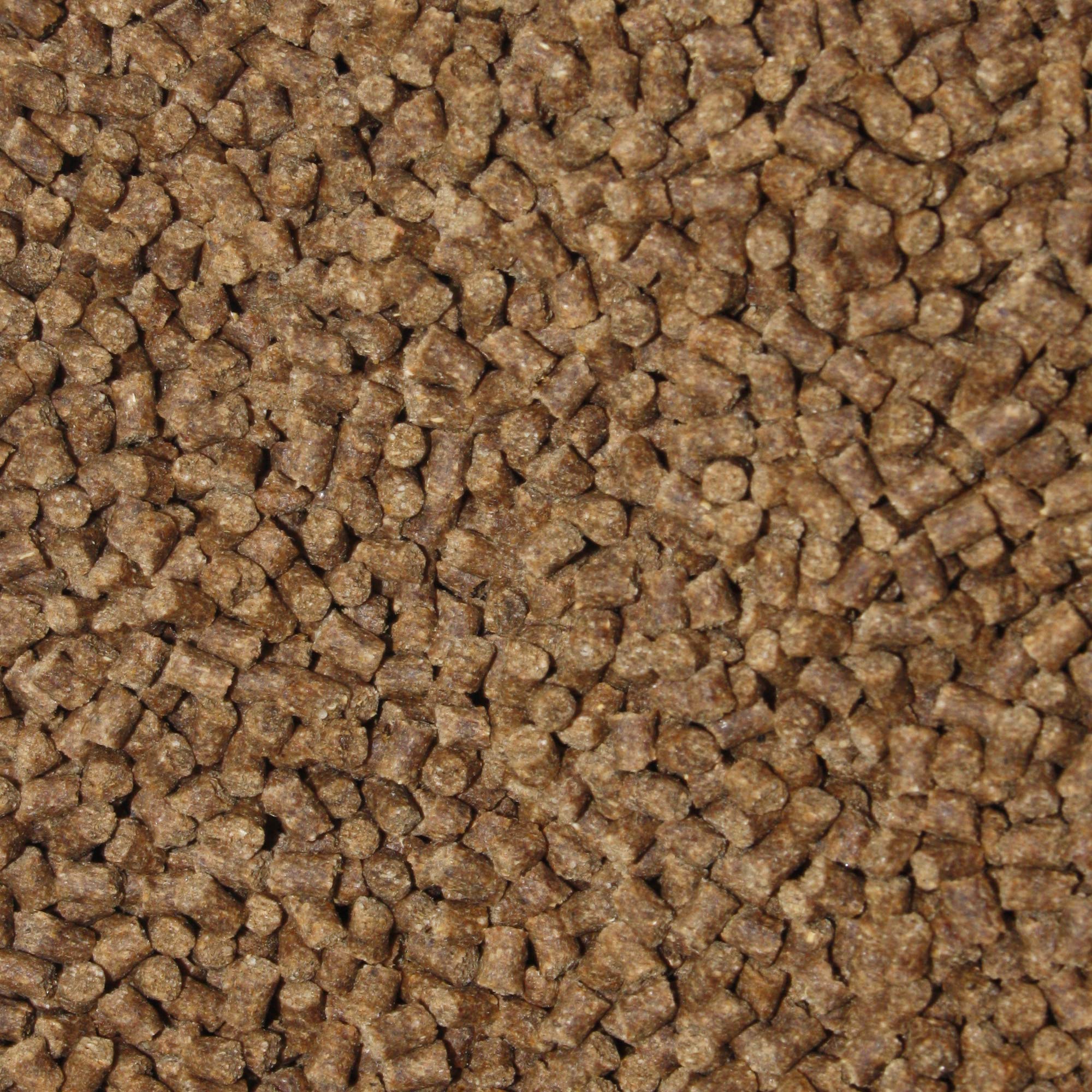 Winterfutter Koi Sinkfutter Tosai Koifutter antibakteriell Monoglyceride Koi Gesundheitsfutter für den Winter Energiefutter arktische Rohstoffe 3mm 5kg Sack