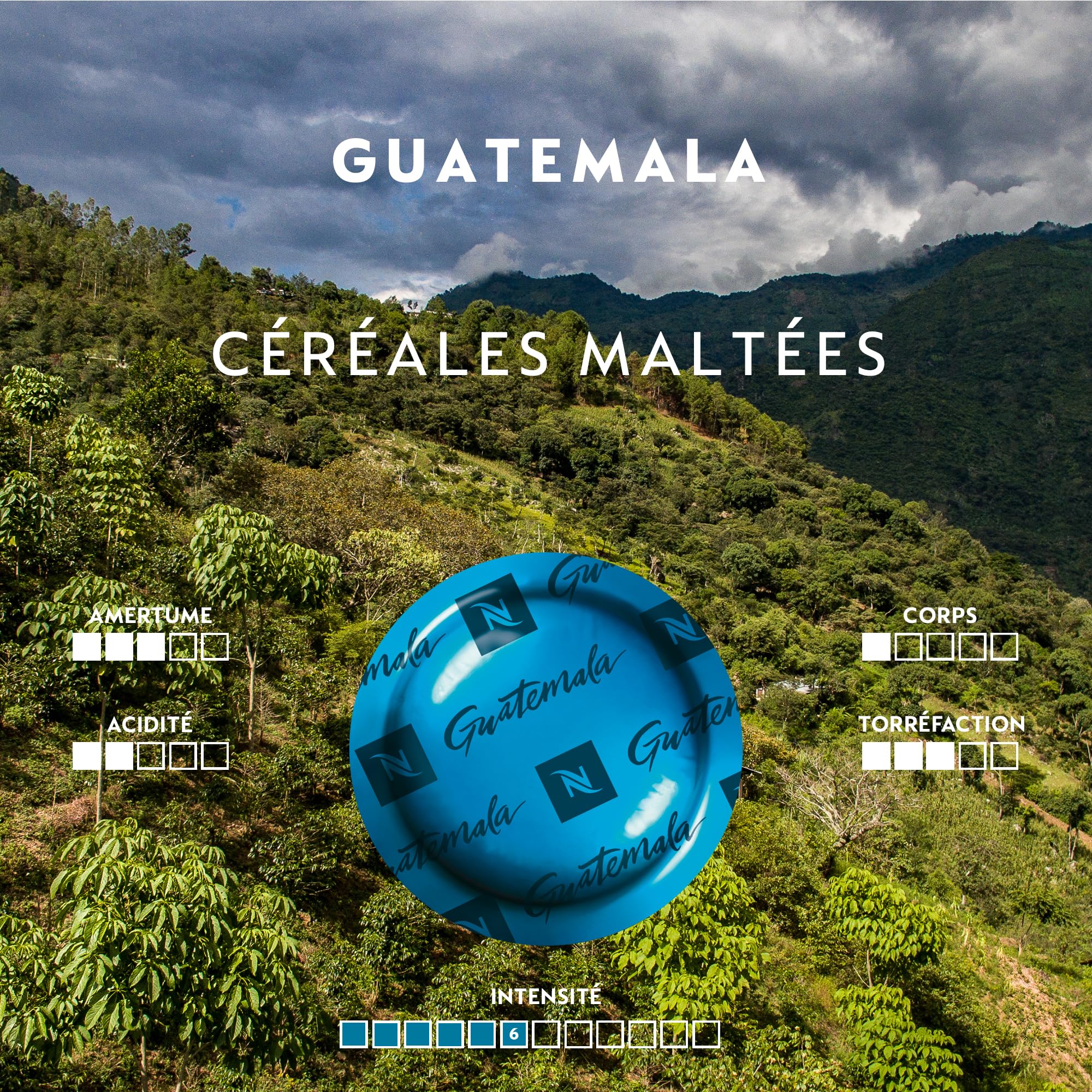 Nespresso Professionnel - Bundle 200 Capsules cafés - Single ORIGINS : 50x Peru / 50x Indonesia / 5Ox Guatemala / 50x Brazil - Adapté aux professionnels
