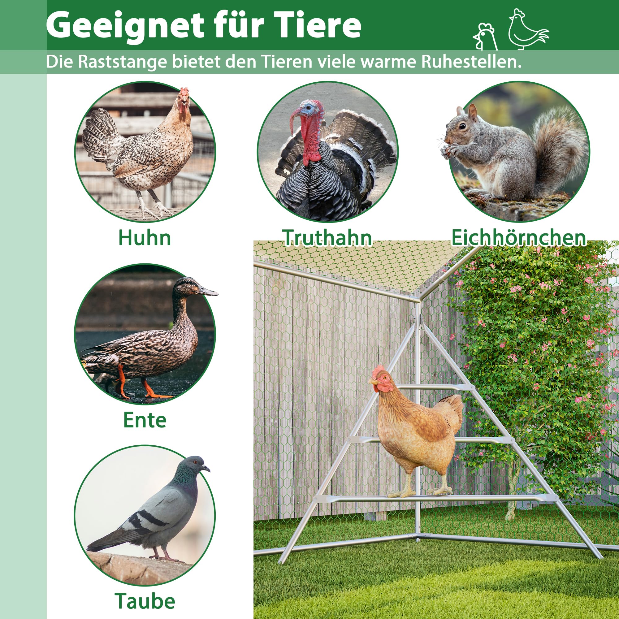 Aviario metálico de 3x4 m con Estructura de Escalada integrada, Techo y Cerradura de Seguridad. Gallinero Resistente a la Intemperie con un Amplio Corral para Animales pequeños y Aves de Corral.