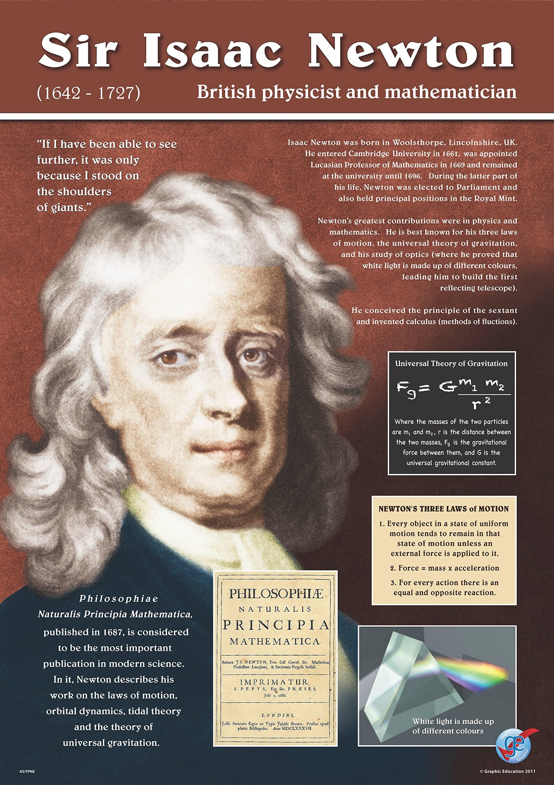 Isaac Newton Vinyl Poster (16 in x 23 in)
