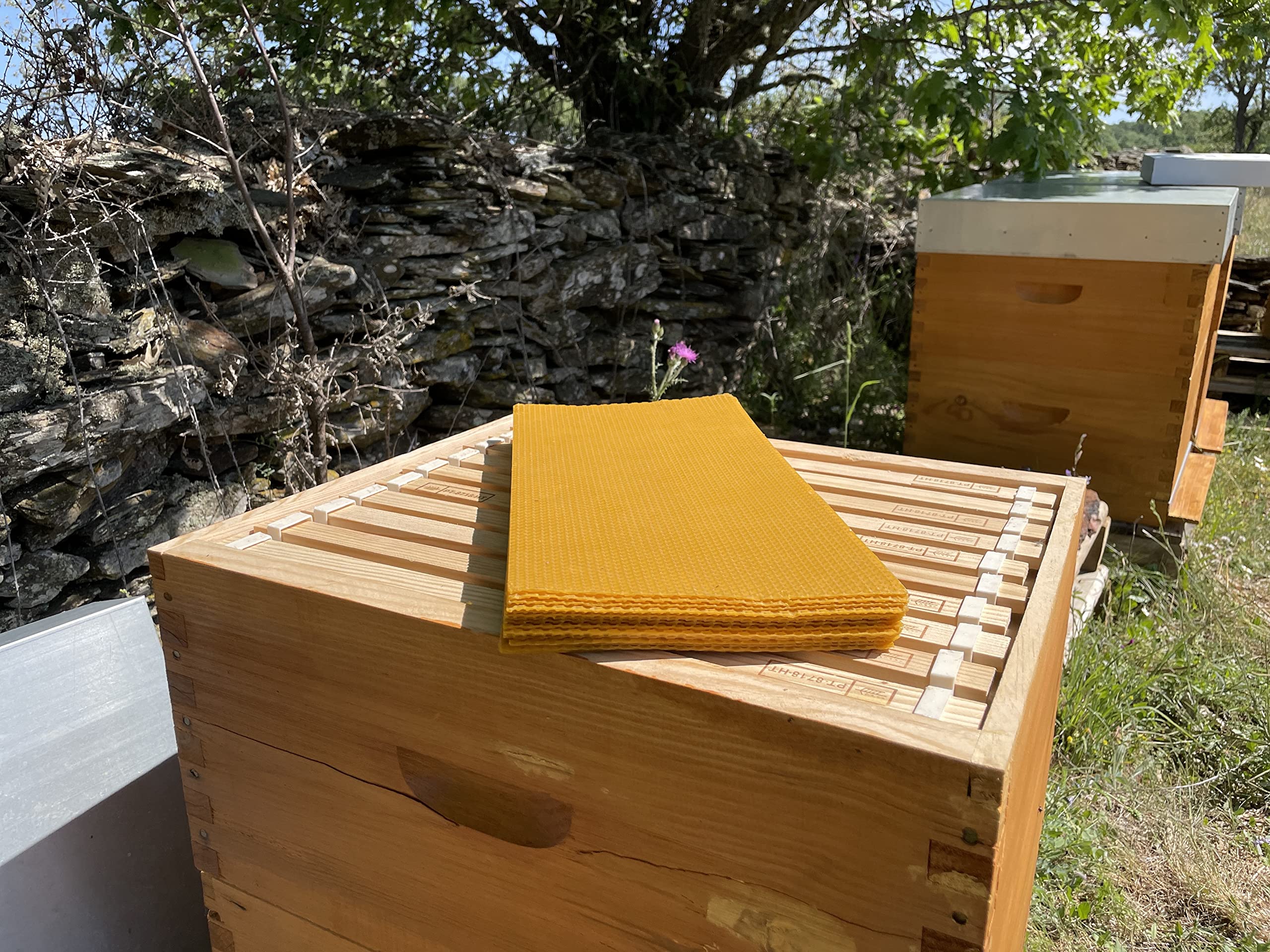 Velas de cera de abeja, velas de miel (velas 20 cm x 2,4 cm). SIN PARAFINA ecologicas,Hechas a mano Origen Sierra de Culebra ZAMORA (PACC 32 VELAS 20 cm x 2,4cm)