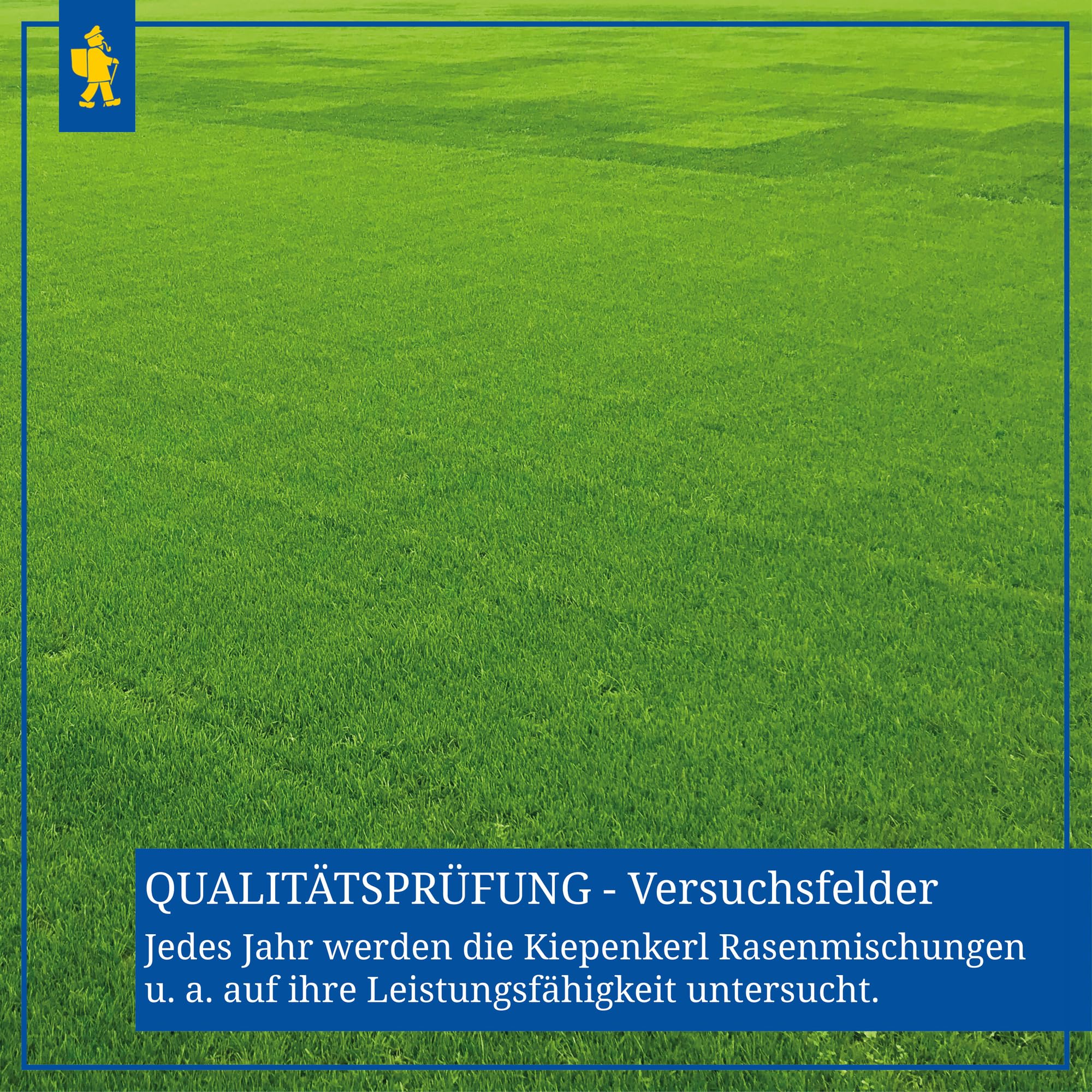 Rasensamen - Regenerations-Rasen 10 kg von Kiepenkerl
