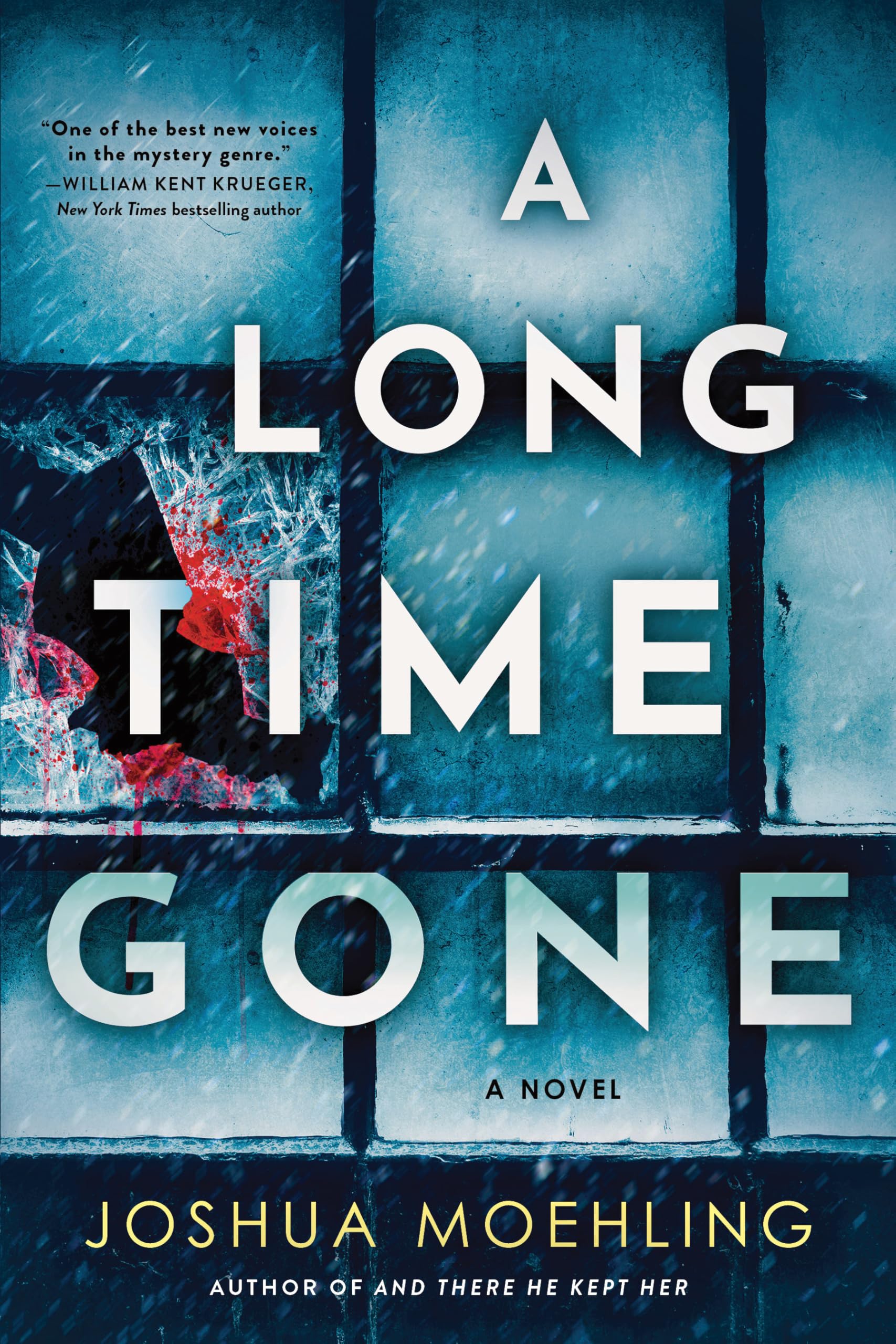 A Long Time Gone: A Novel: 3 (Ben Packard)
