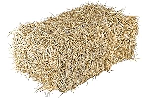 Garden Elements Straw Bale for Farm and Home Décor - Enhance Your Outdoor Ambiance
