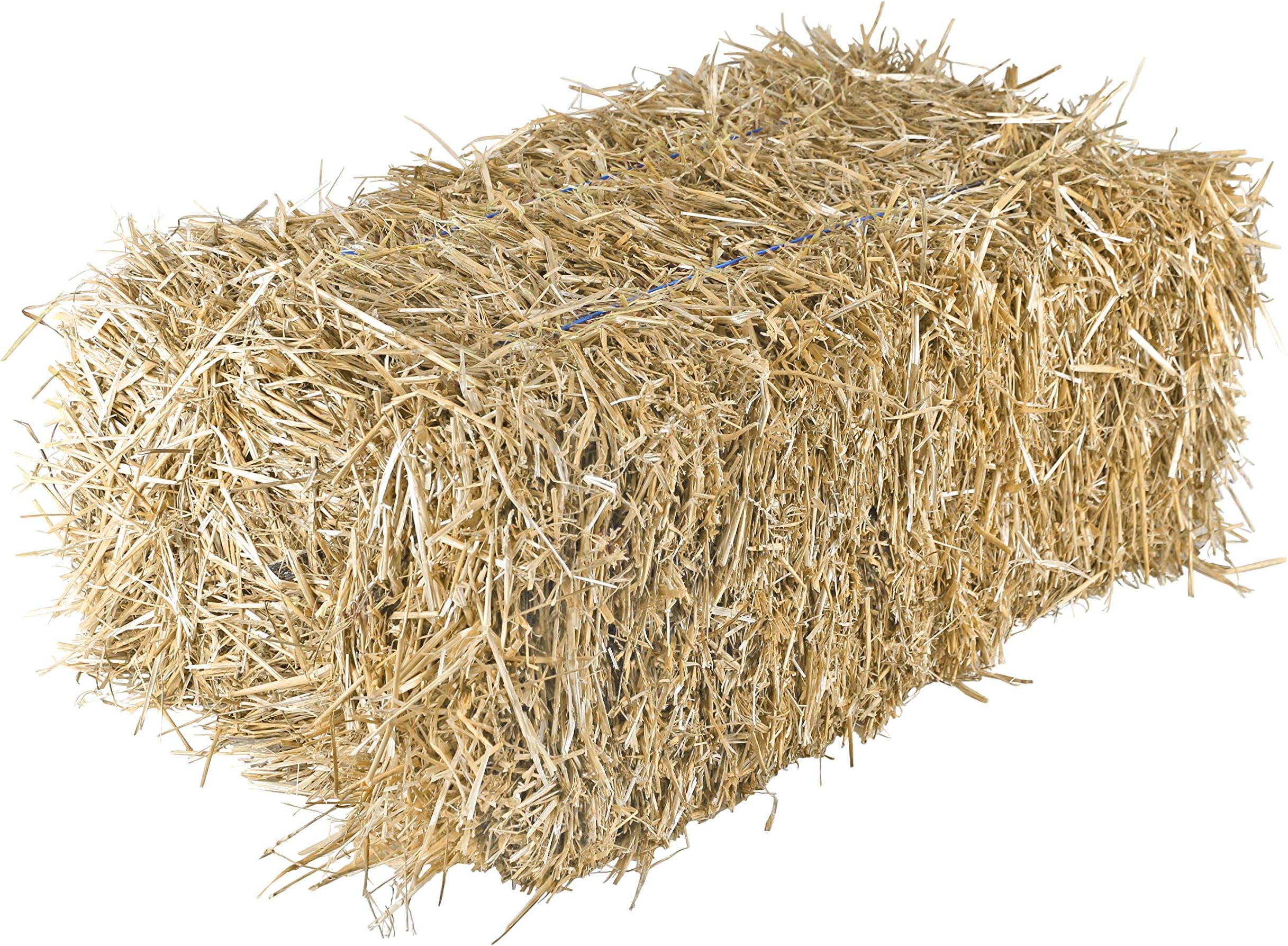Garden Elements Straw Bale by Shady Creek Farm, Multi-Use for Farm & Home, Large Straw Bale, 36"