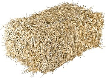 Garden Elements Straw Bale by Shady Creek Farm, Multi-Use for Farm & Home, Large Straw Bale, 36"