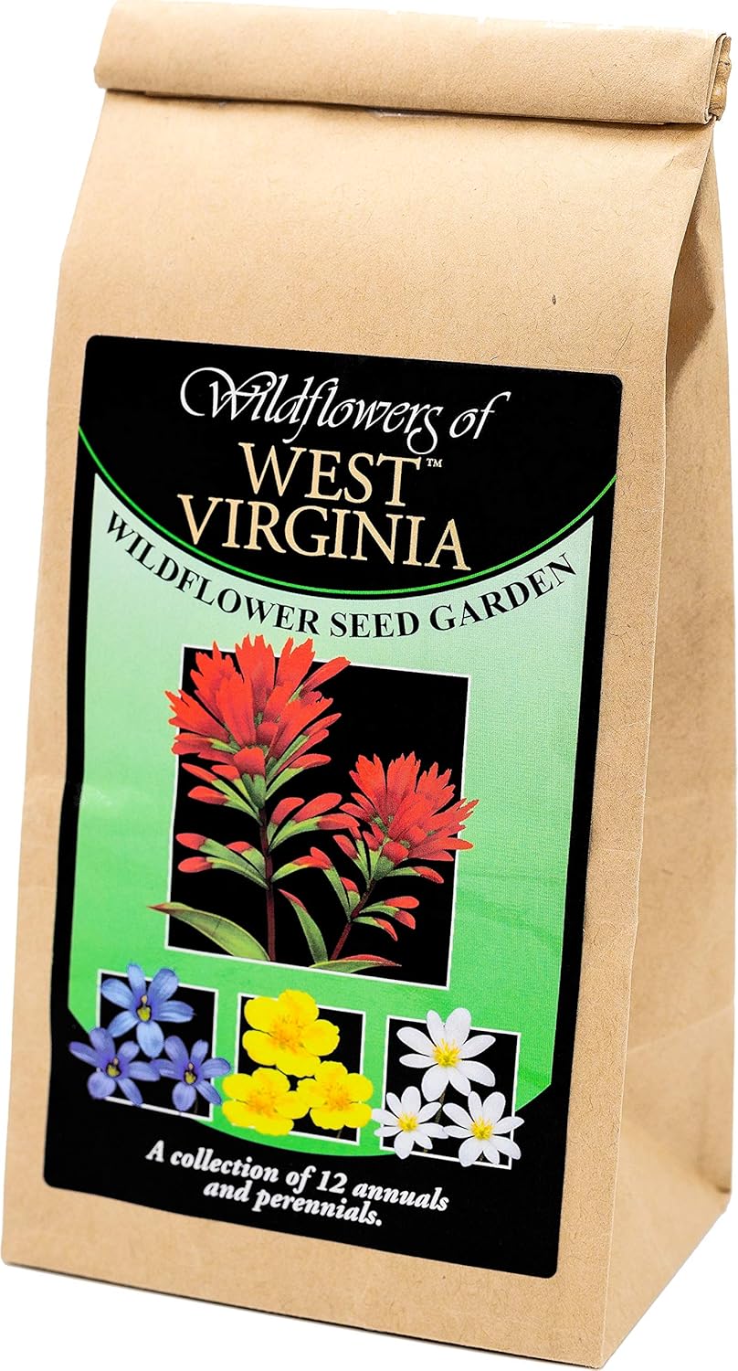 West Virginia Wildflower Seed Mix 12 Varieities of Non