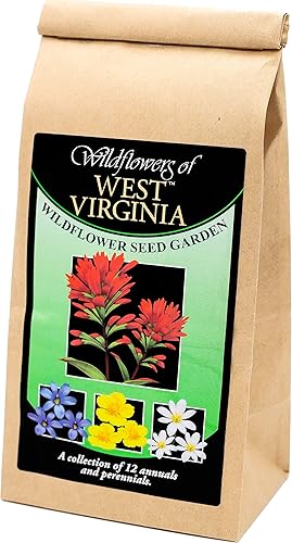 Mezcla de semillas de flores silvestres de Virginia Occidental, 12 variedades de semillas de flores sin OMG para plantar en casa