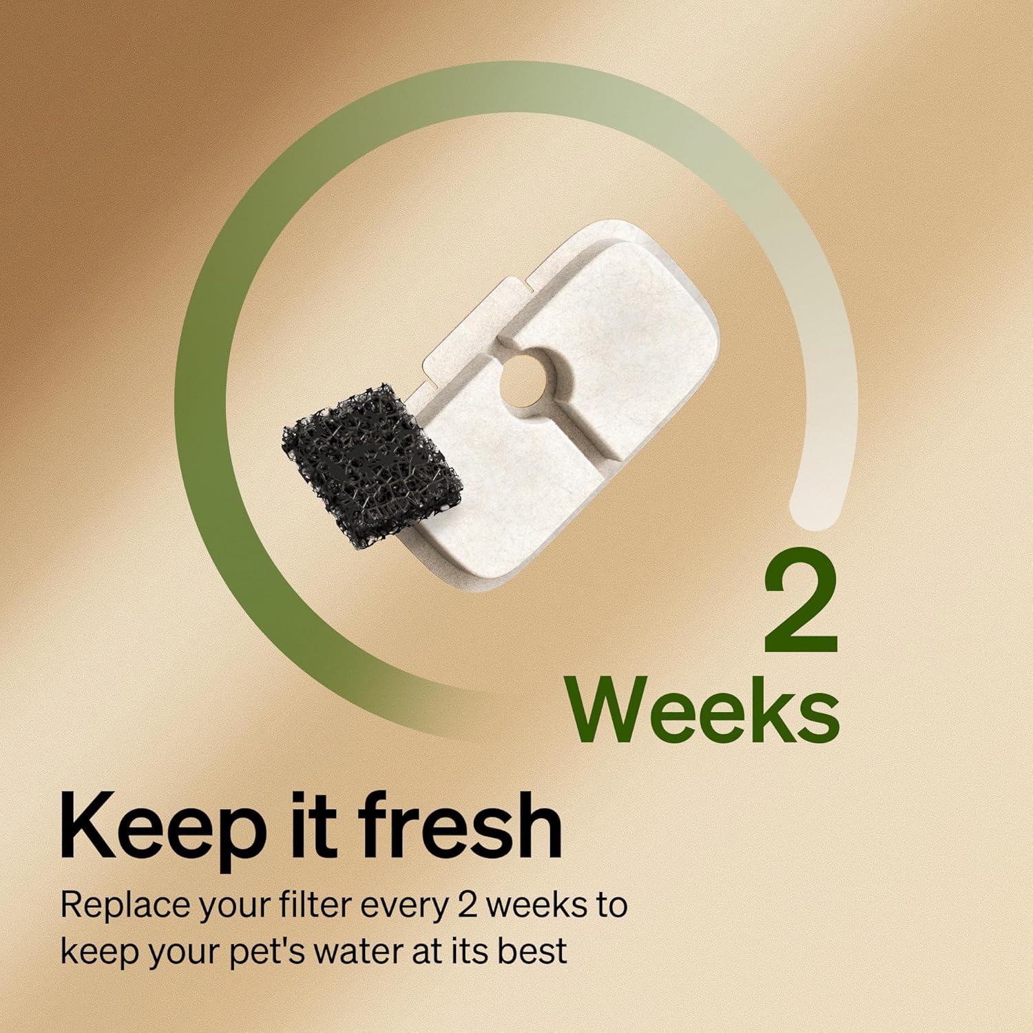 PETLIBRO Cat Water Fountain Filter Replacement, 12 Packs Pet Fountain Filter & Sponges for Dockstream WF106/WF116/WF105/WF115/WF005/WF305, Half Year Set Easy-Swap PETLIBRO Cat Water Dispenser Filter