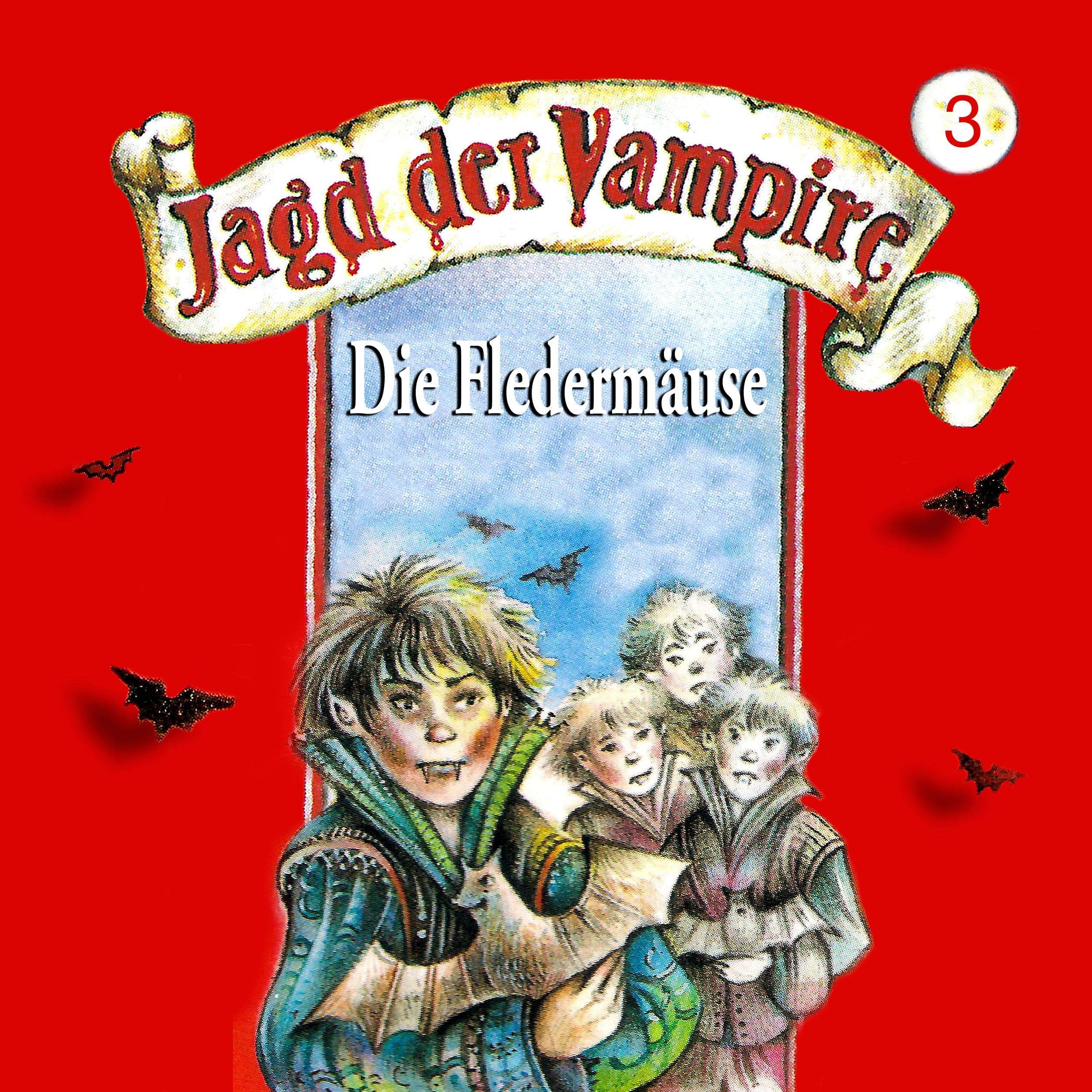 Cover art for Die Fledermäuse