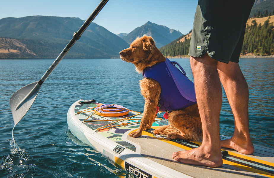 Amazon.com : Ruffwear, Float Coat Dog Life Jacket, Premium