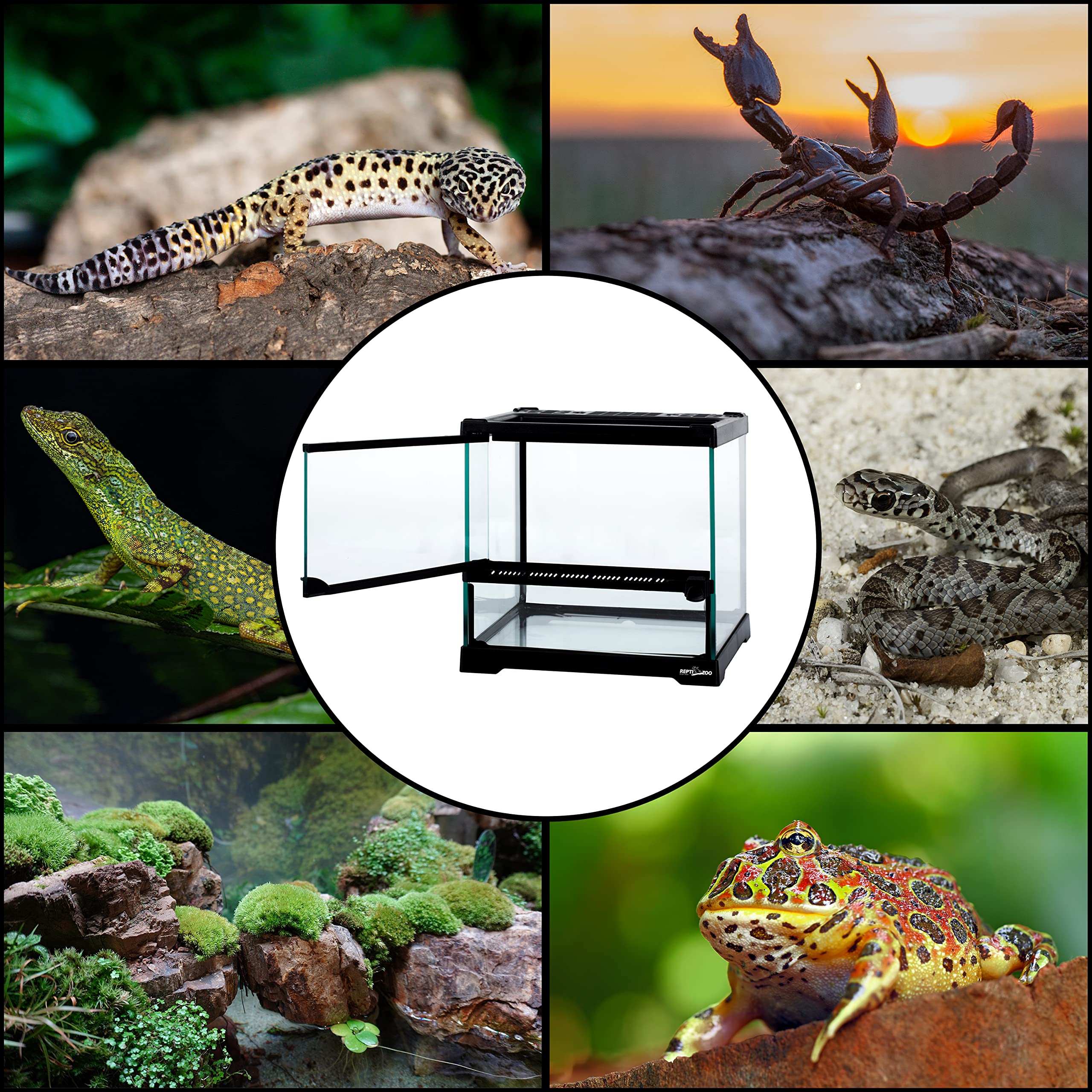 ReptiZoo Terrarium 1 Puerta 21 x 21 x 20 cm