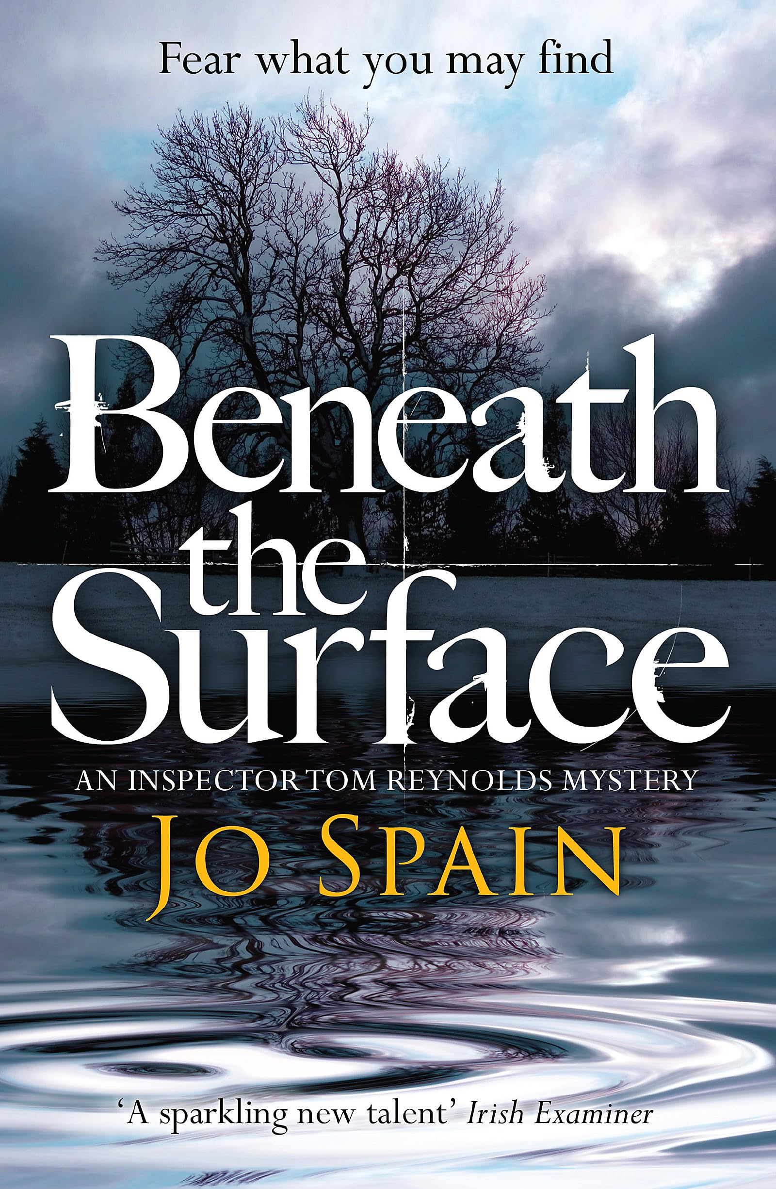 Beneath the Surface: An Inspector Tom Reynolds Mystery (2)