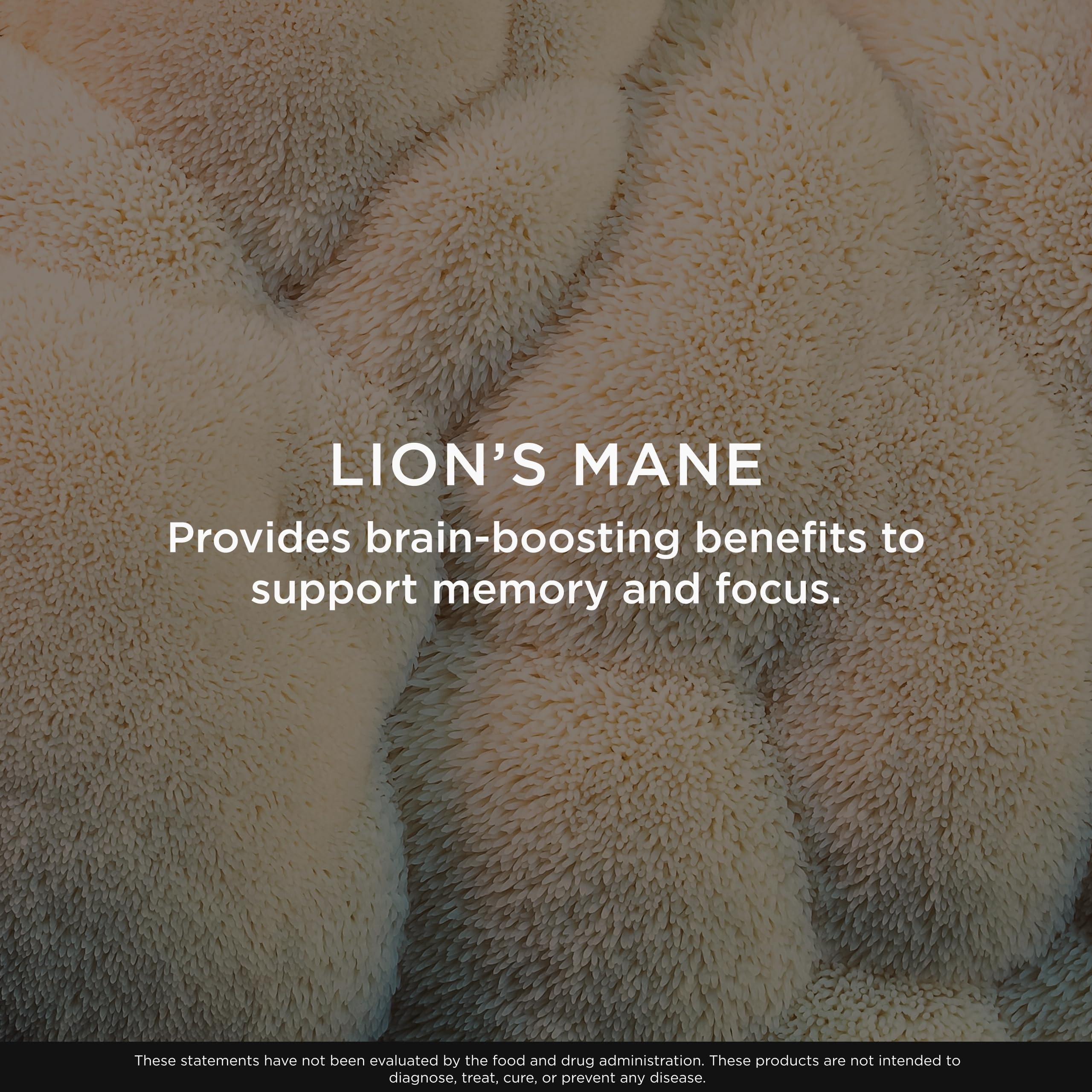 The Genius Brand Genius Lion's Mane, Memory & Focus, 120 Veggie Ct — Amazon image 5