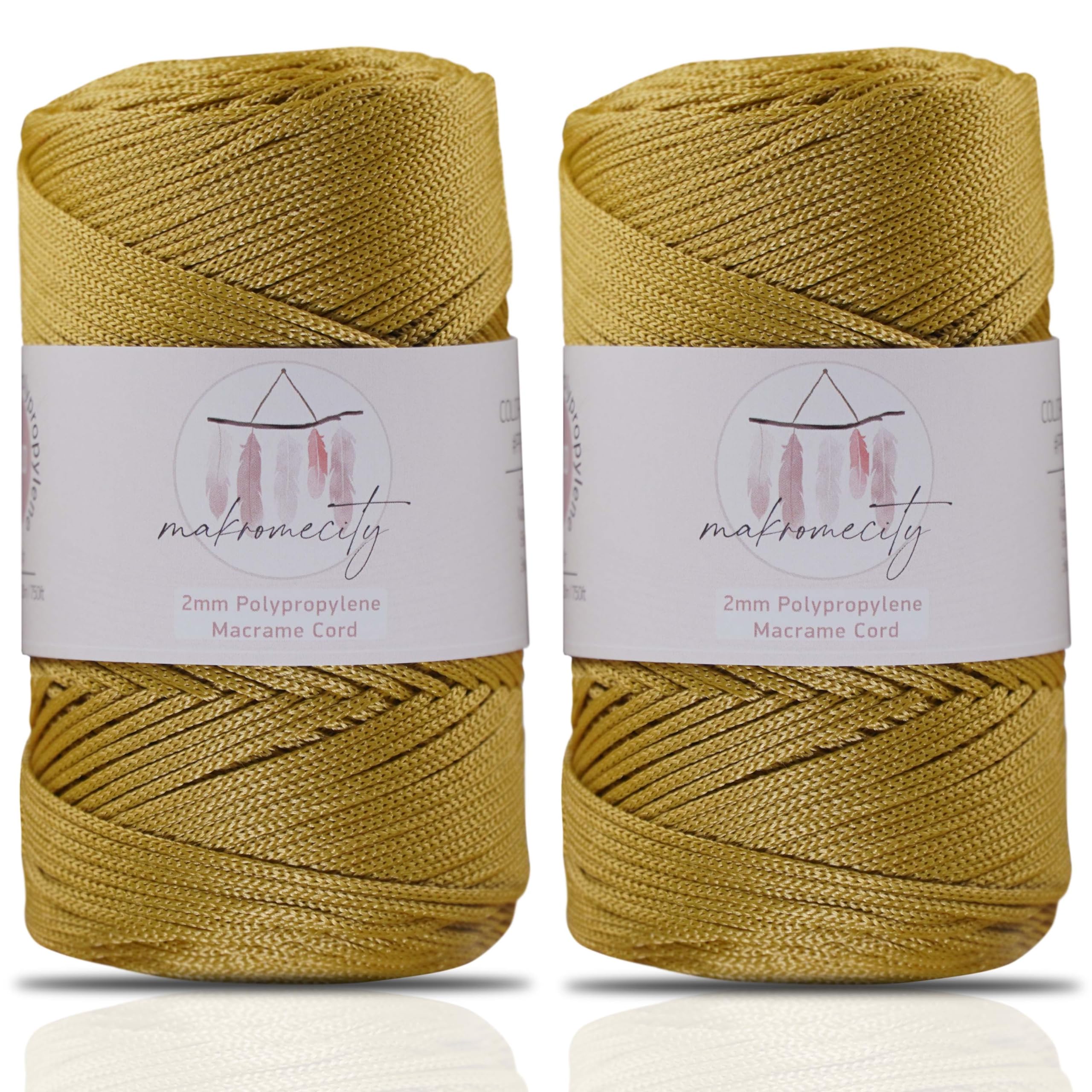 Makromecity, 2 Skeins of Polyester Macrame Cord 2mm x 250 Yards (750 feet) 2mm Polypropylene Macrame Cord for Macrame Art & Crafts for Wall Hangings, Bags, Underplate, Rug (29 Colors Available)