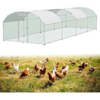 ACXIN Chicken Enclosure 3 x 8 x 2 m Outdoor Walk-In Outdoor Enclosure Made of Galvanised Steel Chicken Coop with Wire Mesh Lock and Weatherproof Protection for Chickens Ducks and Small Animals