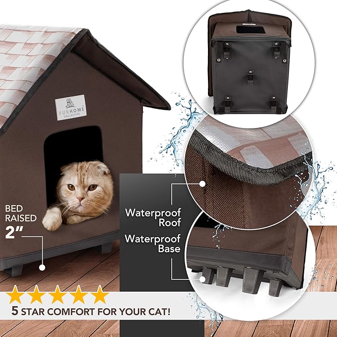 heated cat house amazon