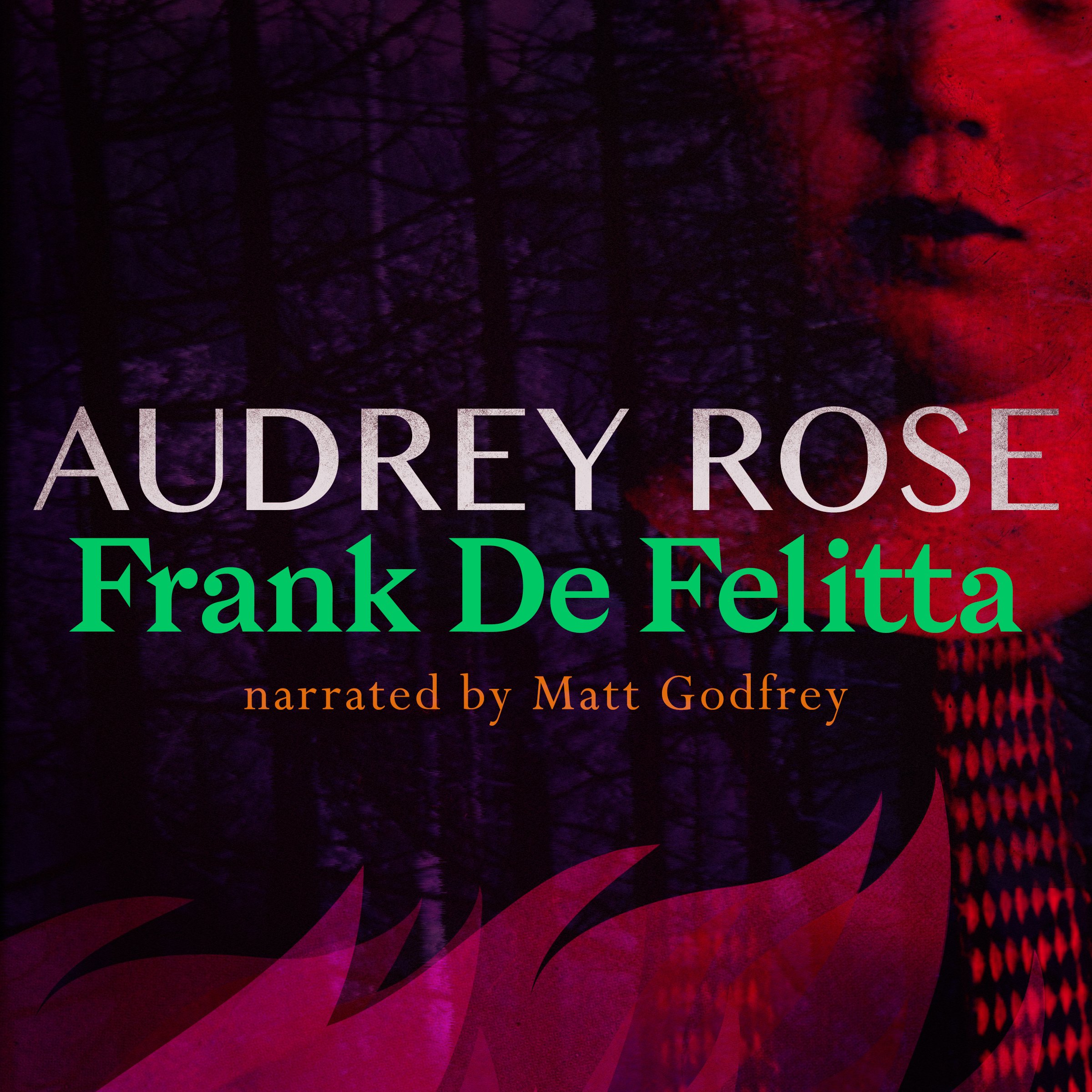 Cover art for Audrey Rose