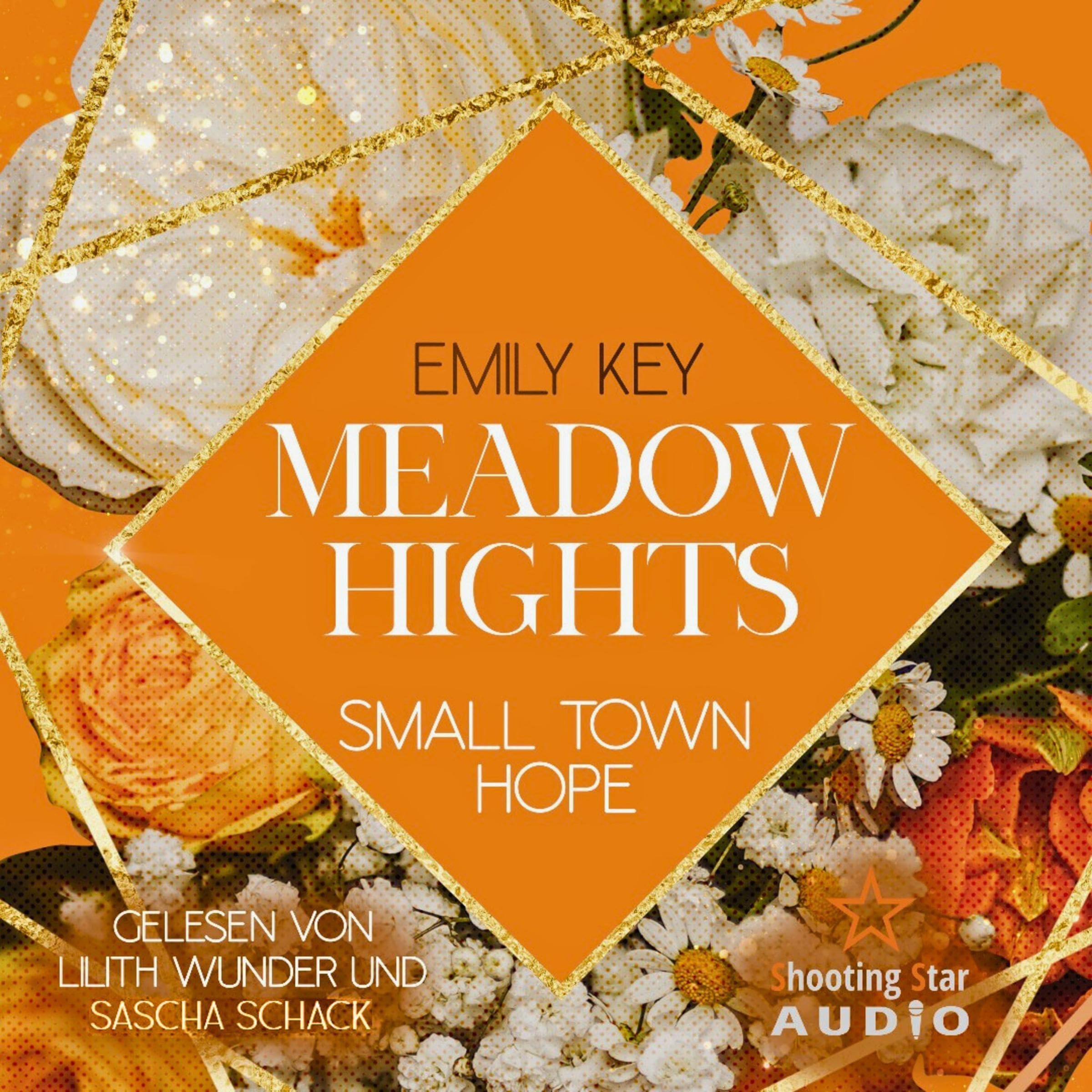 Meadow Hights - Small Town Hope