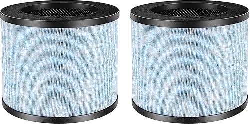 Fette Filter - Filtro de repuesto True HEPA H13 compatible con AROEVE MK01 MK06 Kloudi DH-JH01 Intelabe EPI080 EP1080 EPI081 EP1081 EP1081 Sistemas