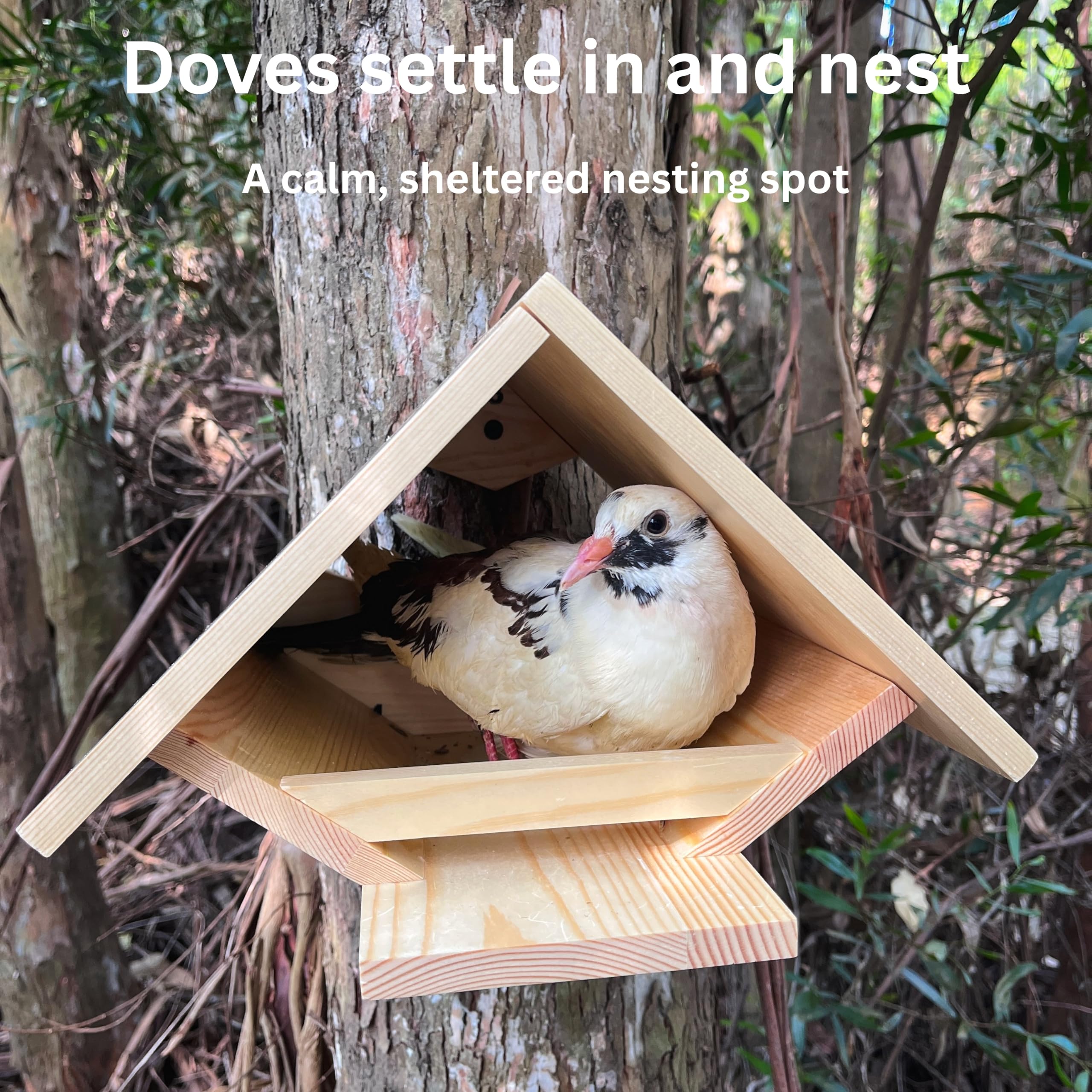 Paloma para pájaros, paloma de luto, caja de anidación para palomas, plataforma de nido abierto | Para palomas de luto, palomas, diseño abierto, para jardín trasero, pájaros pequeños y medianos, no grandes