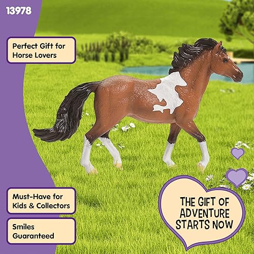 Miniatura 5 de Schleich Horse Club - Figura de caballo de semental marchador Mangalarga - Figuras de poni para niñas y niños - Niños a partir de 5 años