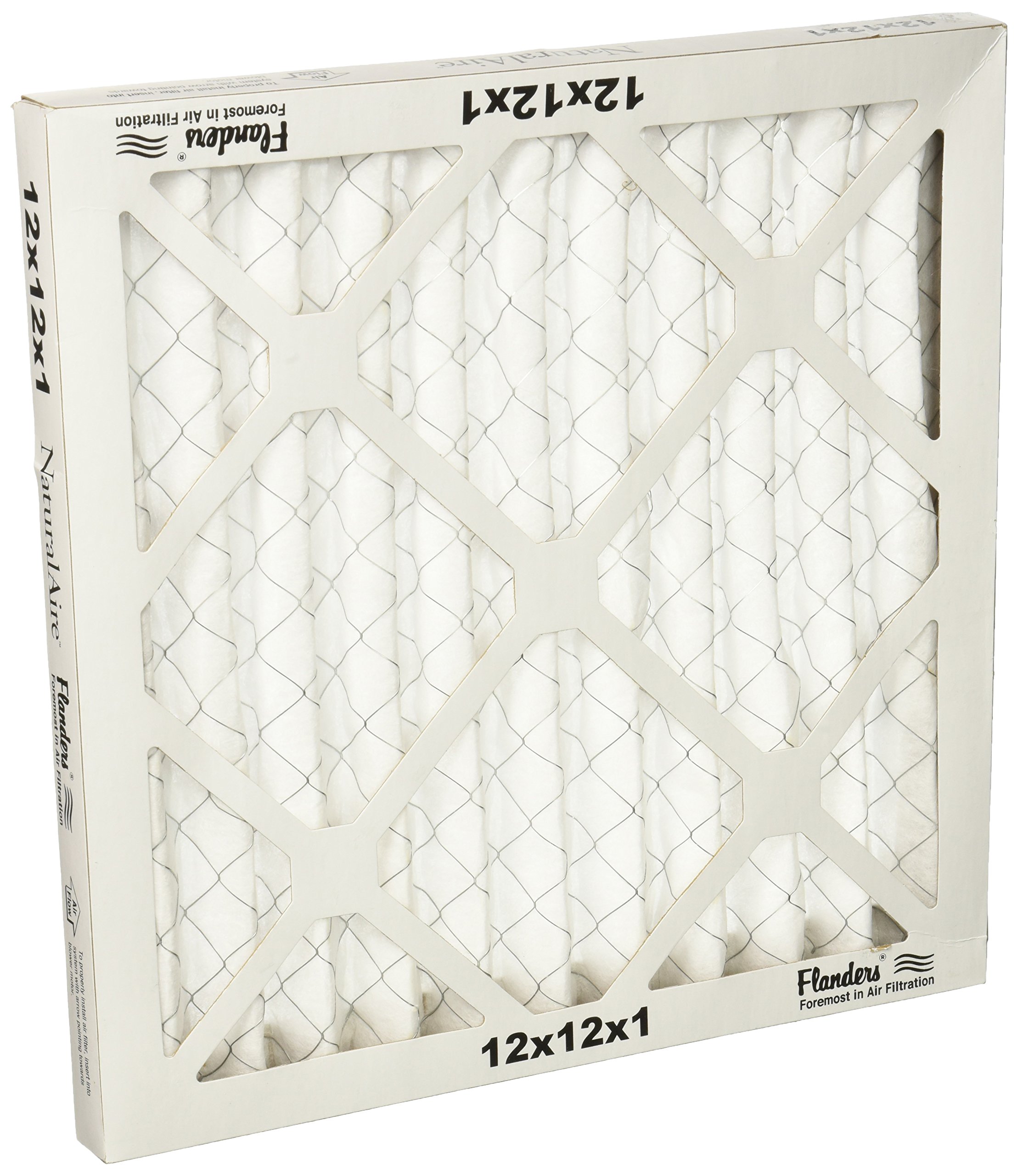 NaturalAire Microparticle Pleated Air Filter, 90 Days, 12x12x1- In.