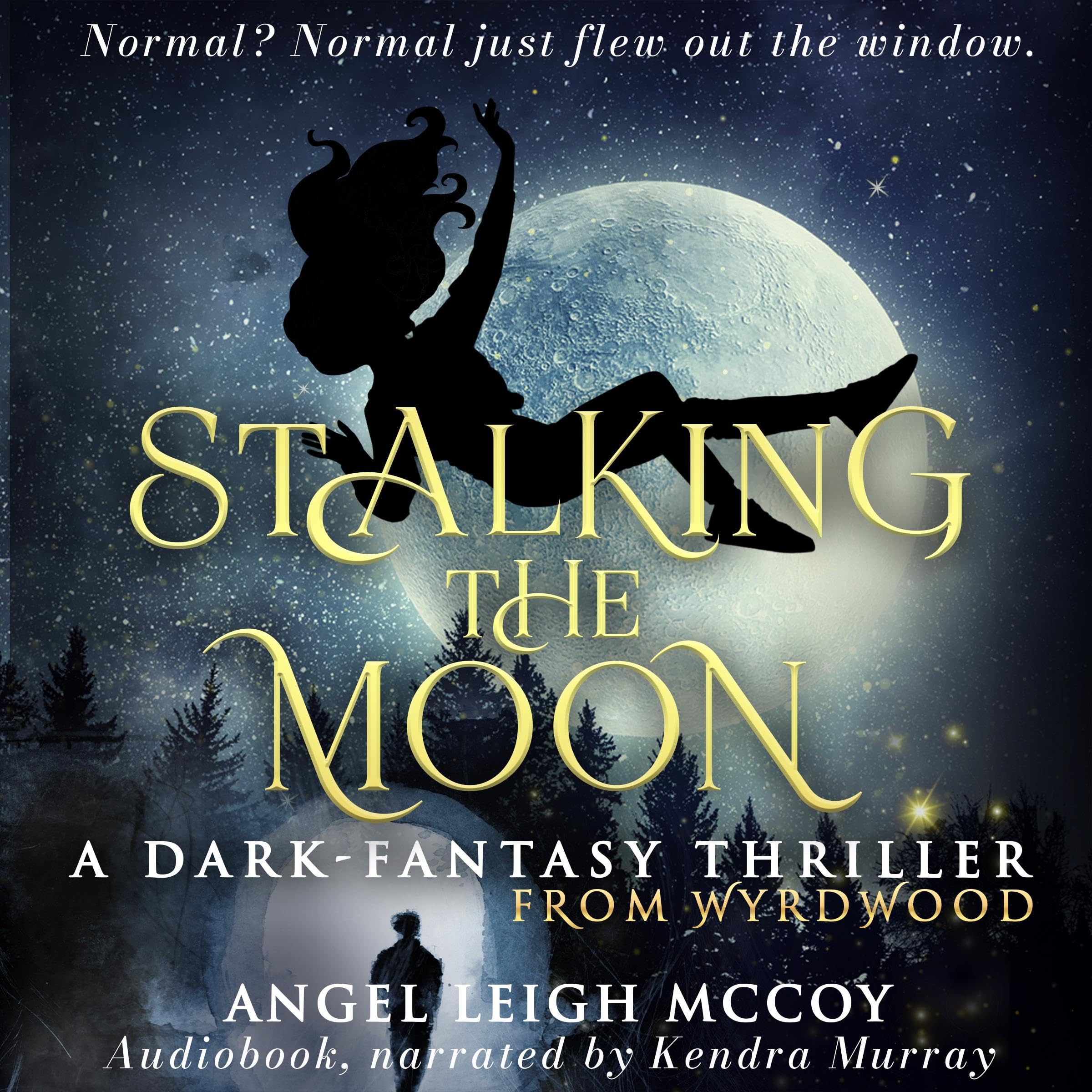 Cover art for Stalking the Moon: Magical Realism - Adventure - Suspense