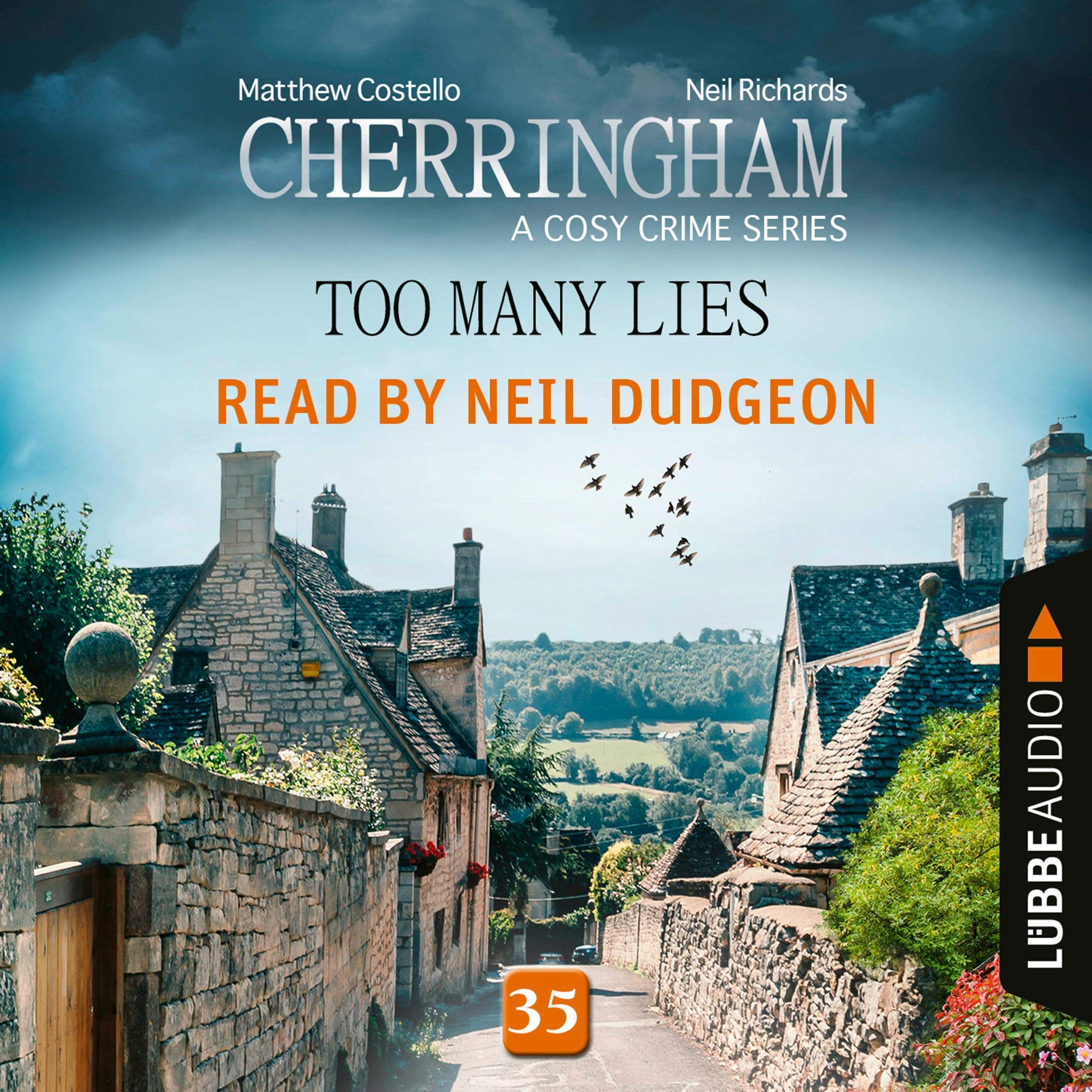 Cover art for Too Many Lies