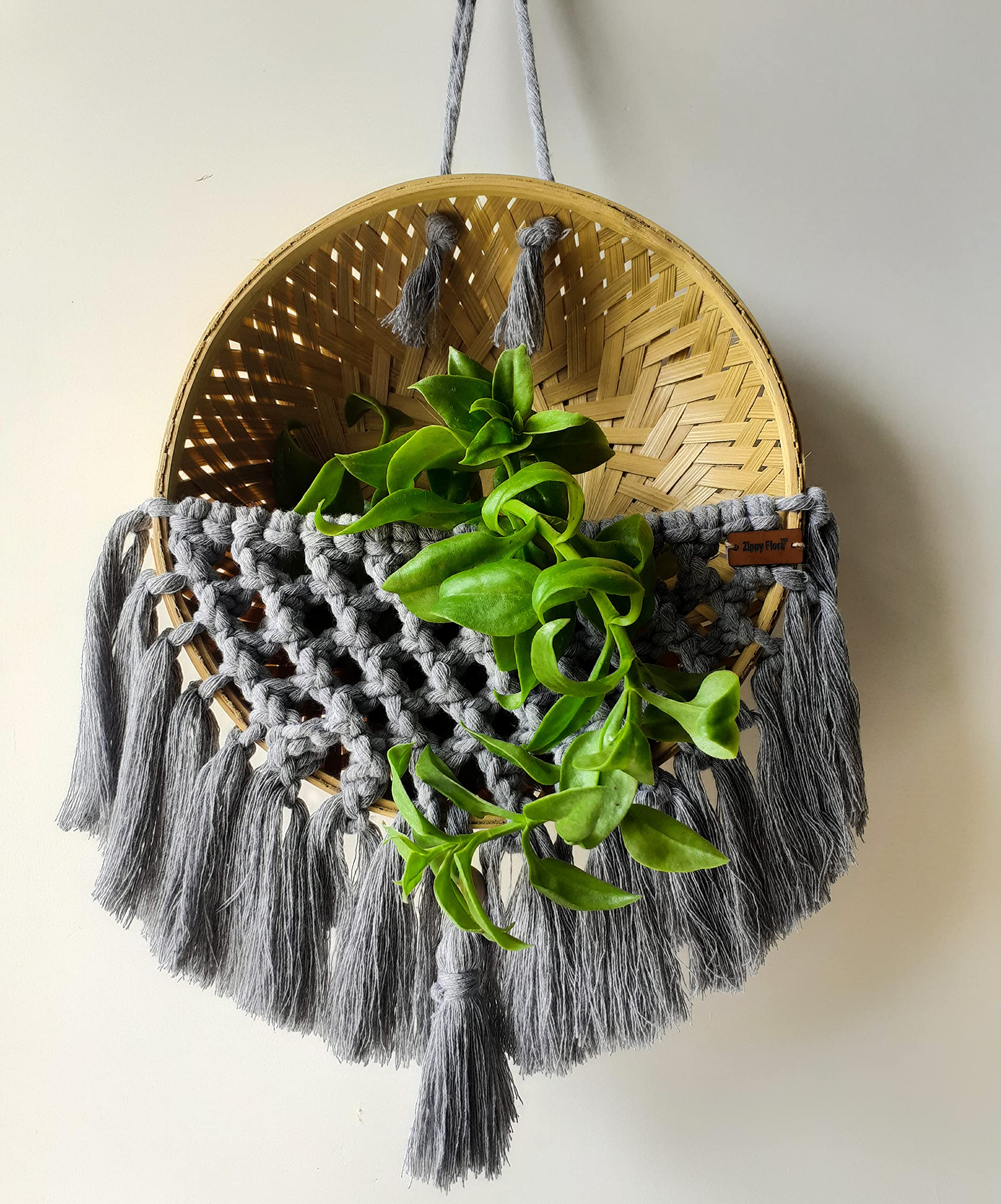 See full amazon price history chart for Zippy Flora Handmade Macrame Basket for Plants (Grey) Zippy Flora Handmade Macrame Basket for Plants (Grey) (B09DYVDK35) Amazon Price History, Amazon Price Tracker