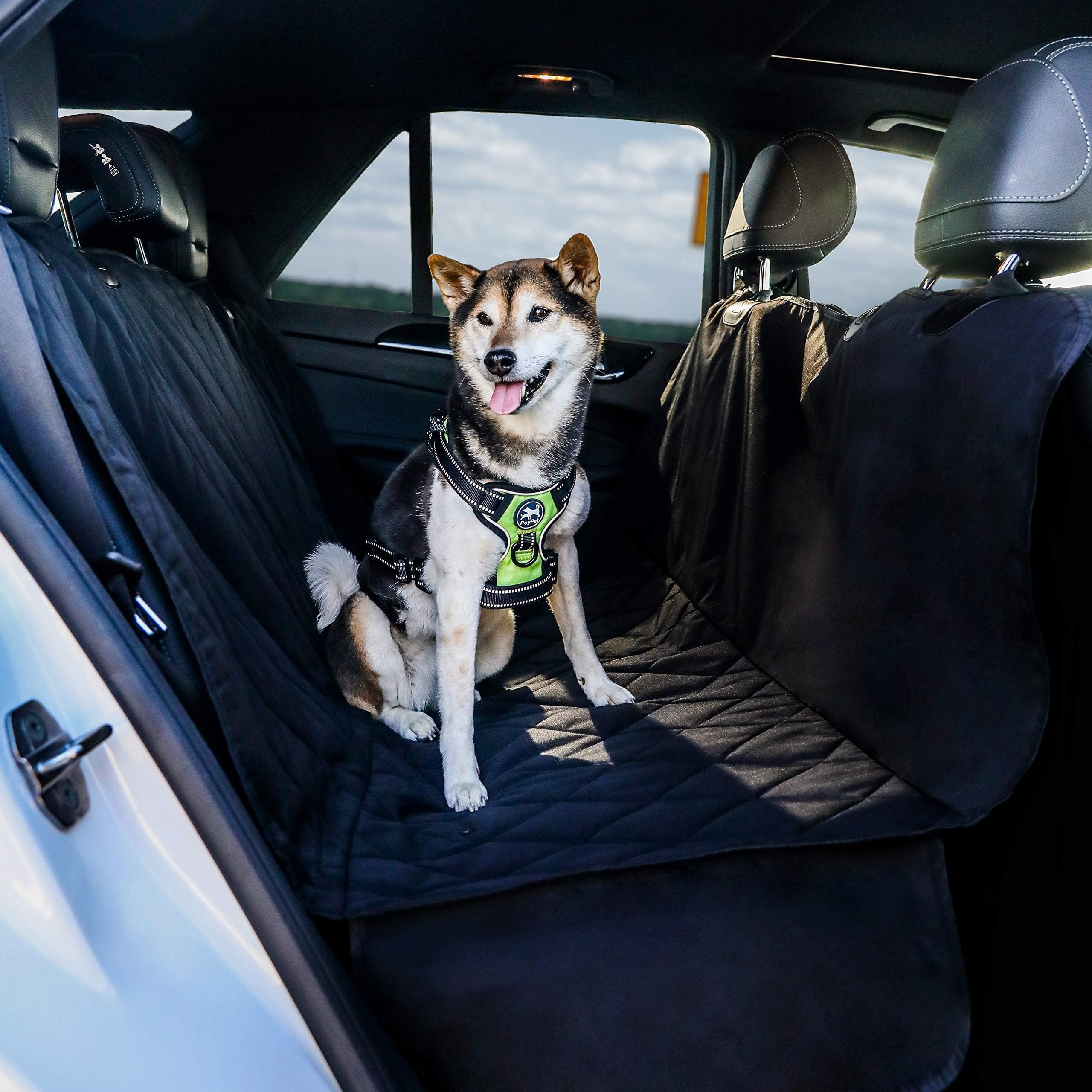 BarksBar Pet Car Seat Cover with Seat Anchors for Cars, Trucks and SUV's, Water Proof and Non-Slip Backing Regular, Black