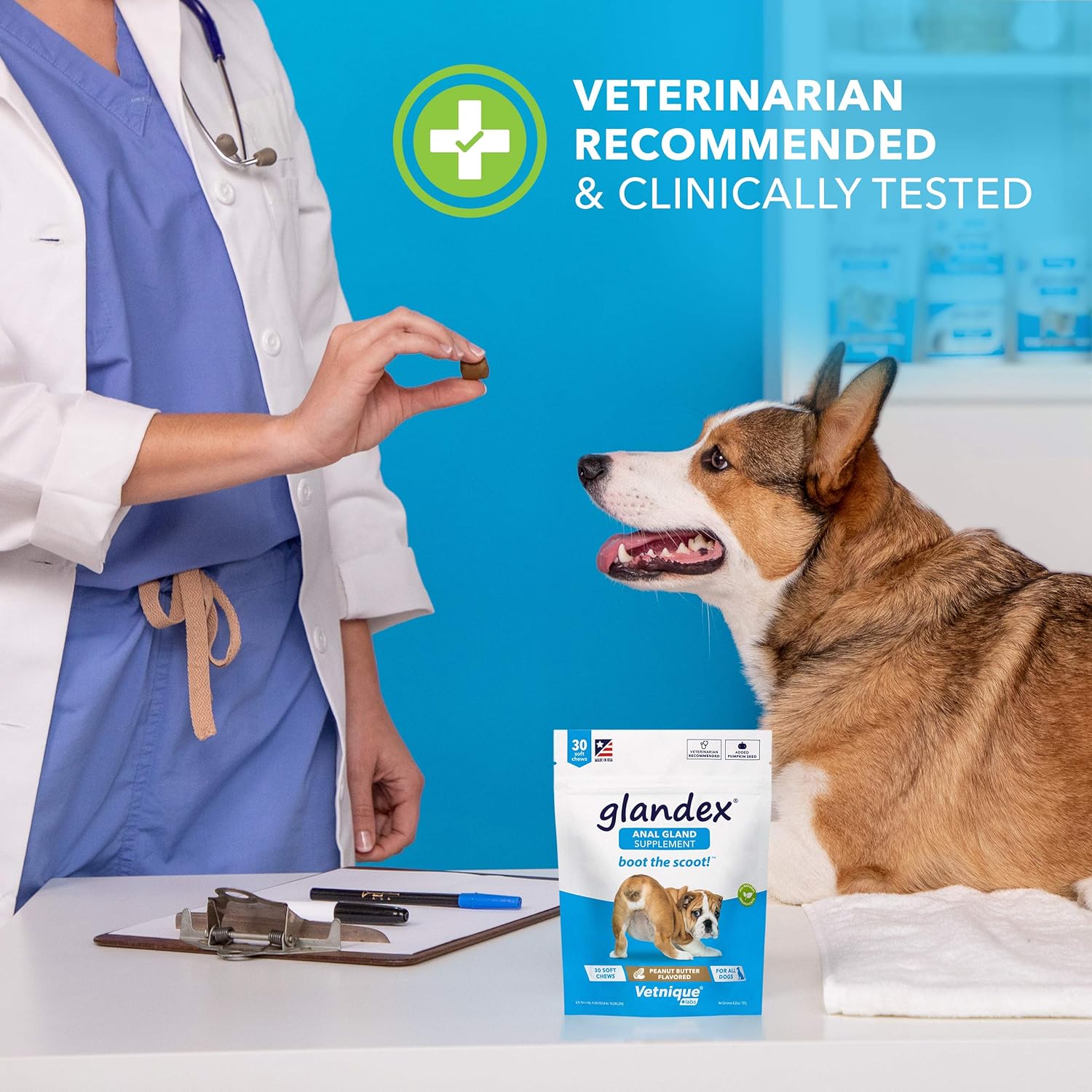 Glandex Anal Gland Soft Chew Treats with Pumpkin for Dogs 120ct Chews with Digestive Enzymes, Probiotics Fiber Supplement for Dogs – Vet Recommended - Boot The Scoot - by Vetnique Labs (Peanut Butter) : Pet Supplies