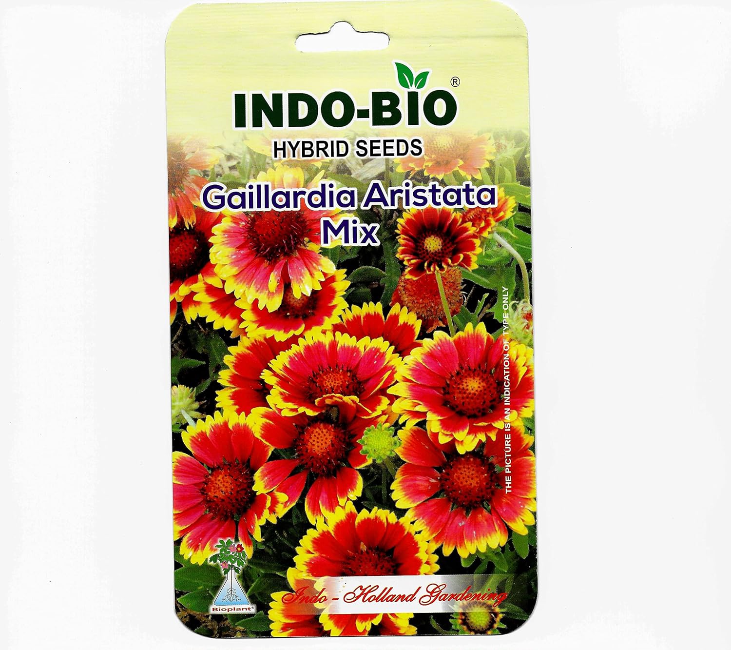 INDOBIO Sow and Grow Fresh Healthy Seed in Your Garden Perfect for