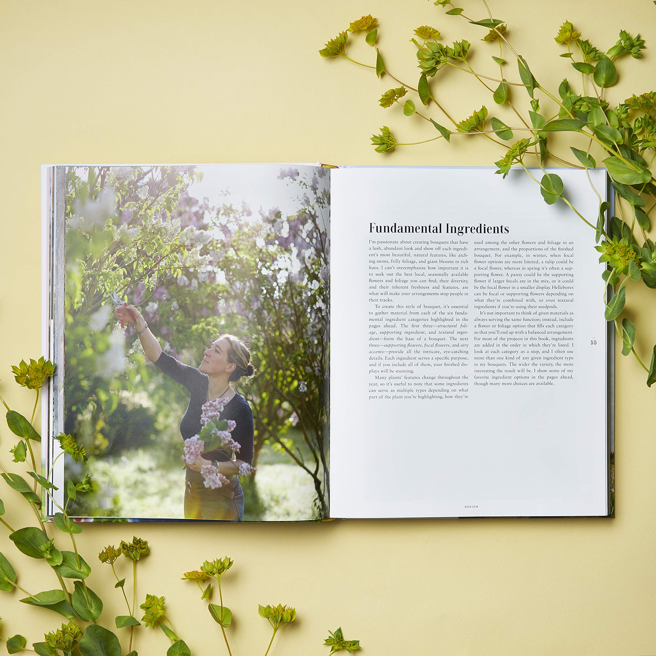 Floret Farm's A Year in Flowers: Designing Gorgeous Arrangements for Every Season (Floret Farms x Chronicle Books) - Image 7