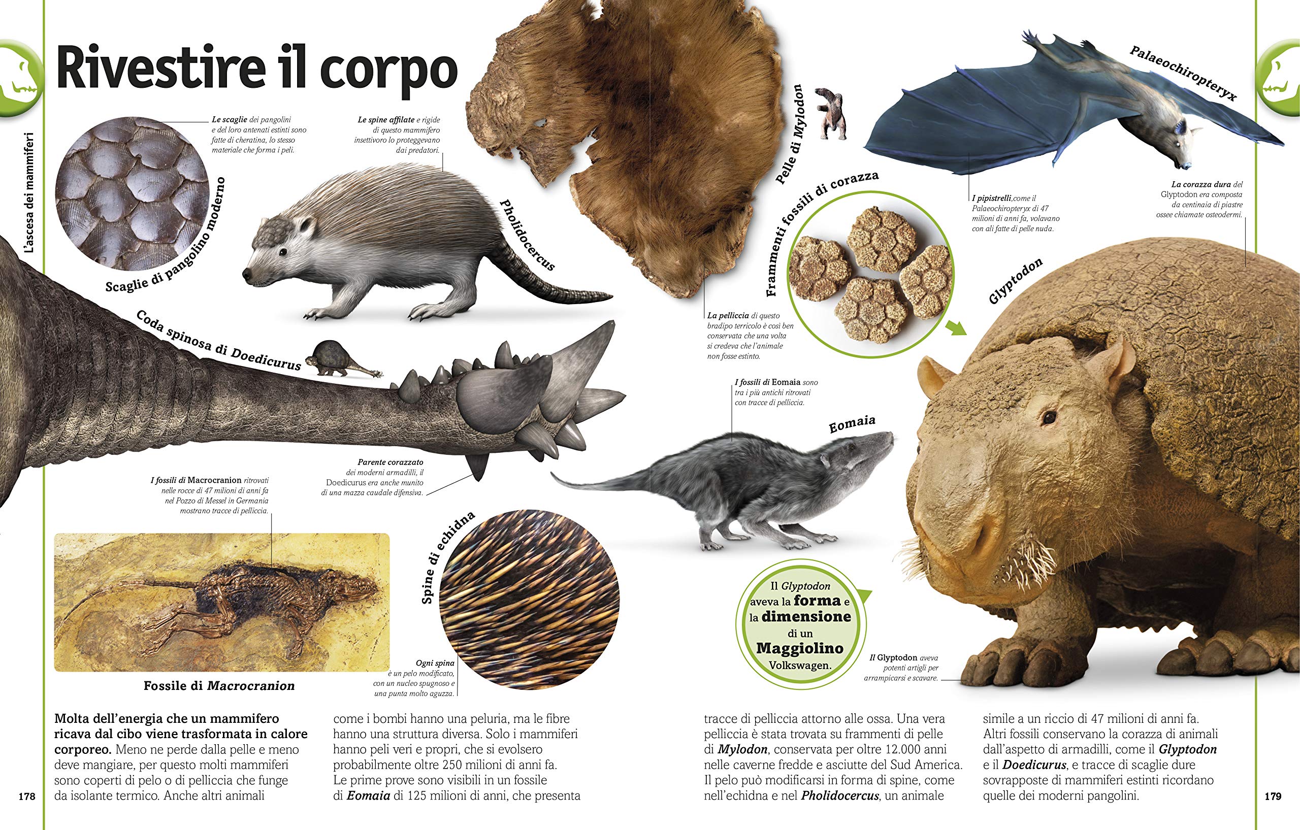 Dinosauri