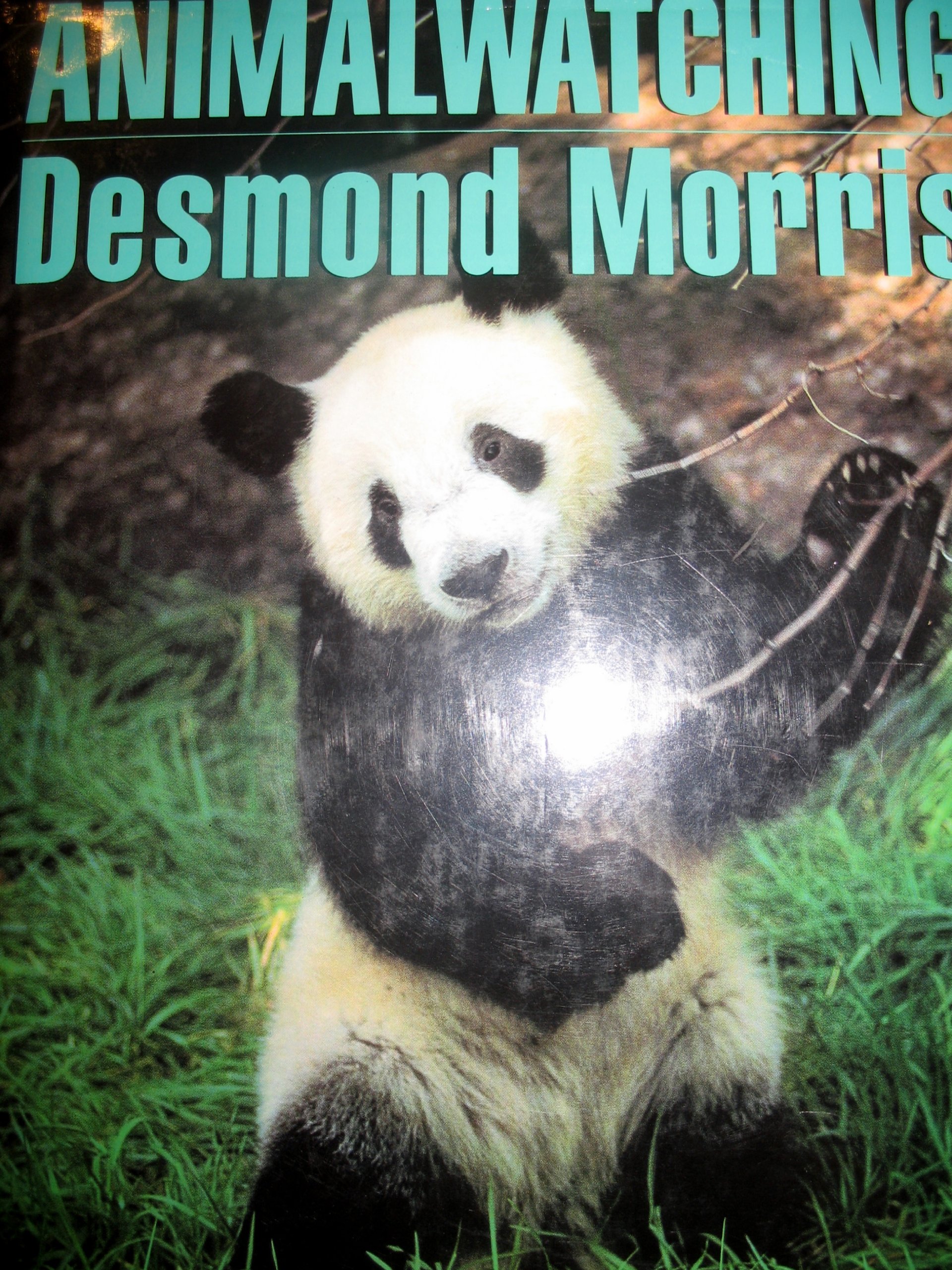 Buy Animalwatching: A New Guide to the Animal World — BookShops.in